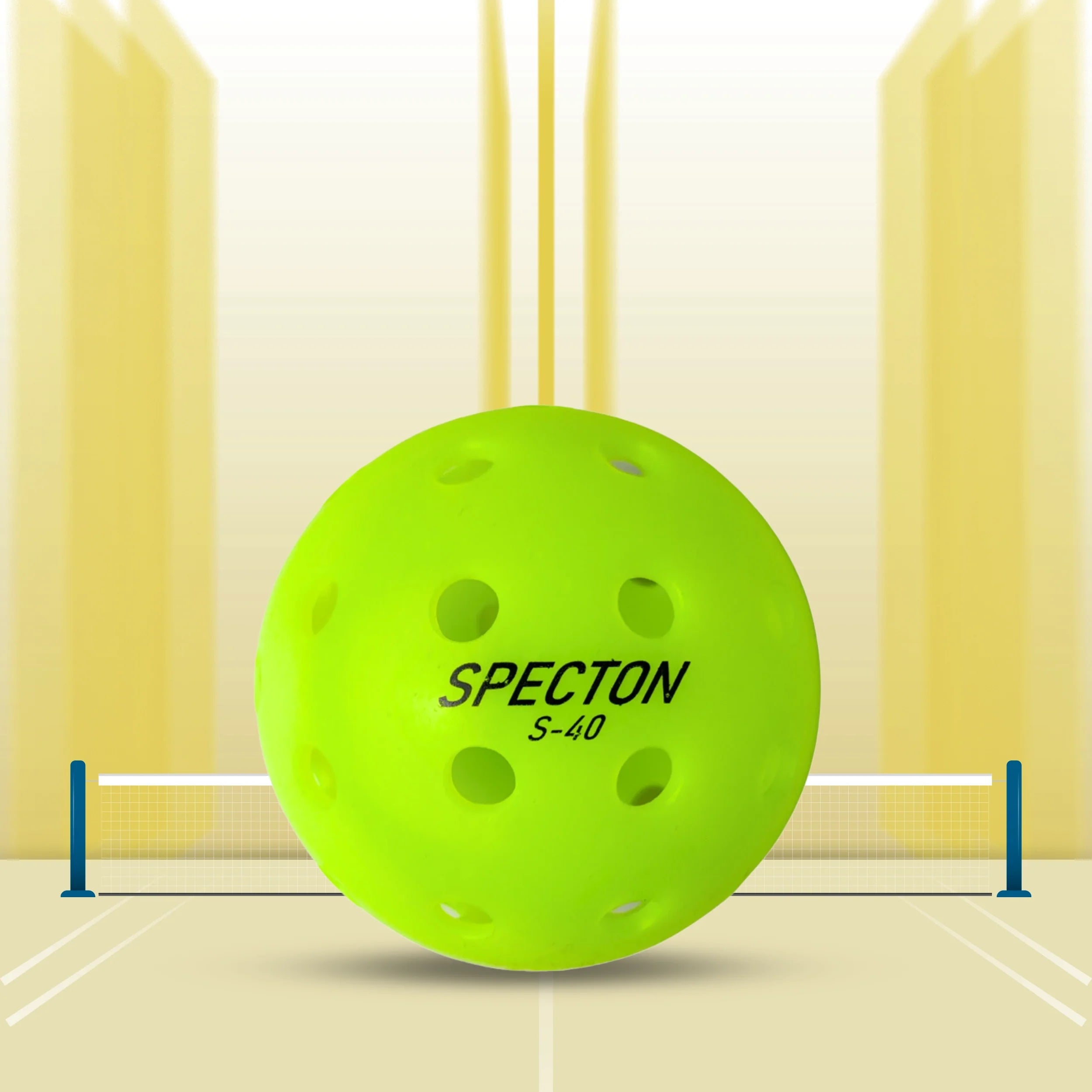 Essential gear for pickleball enthusiasts including paddles and balls.