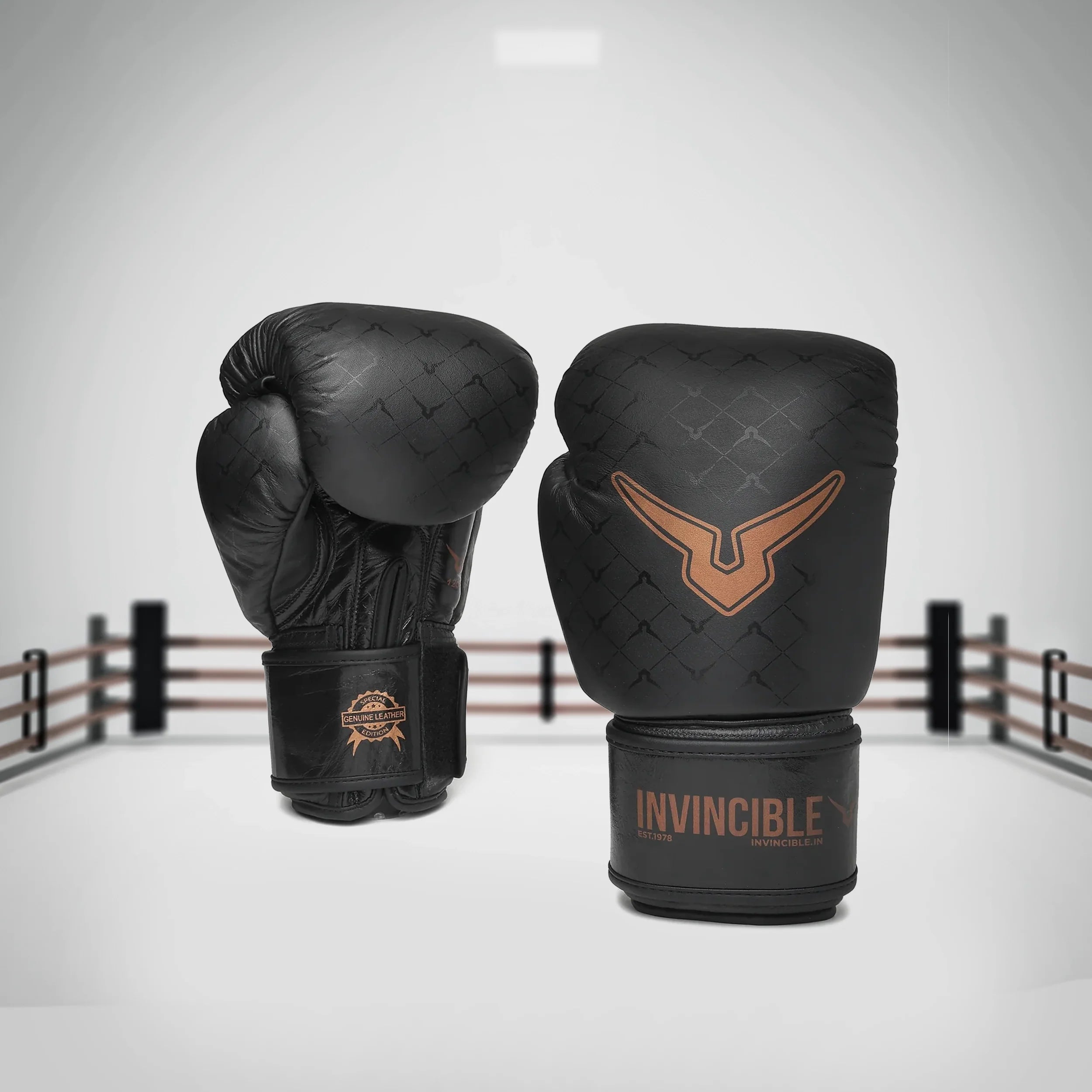 Guide to Invincible Boxing Gear for all skill levels
