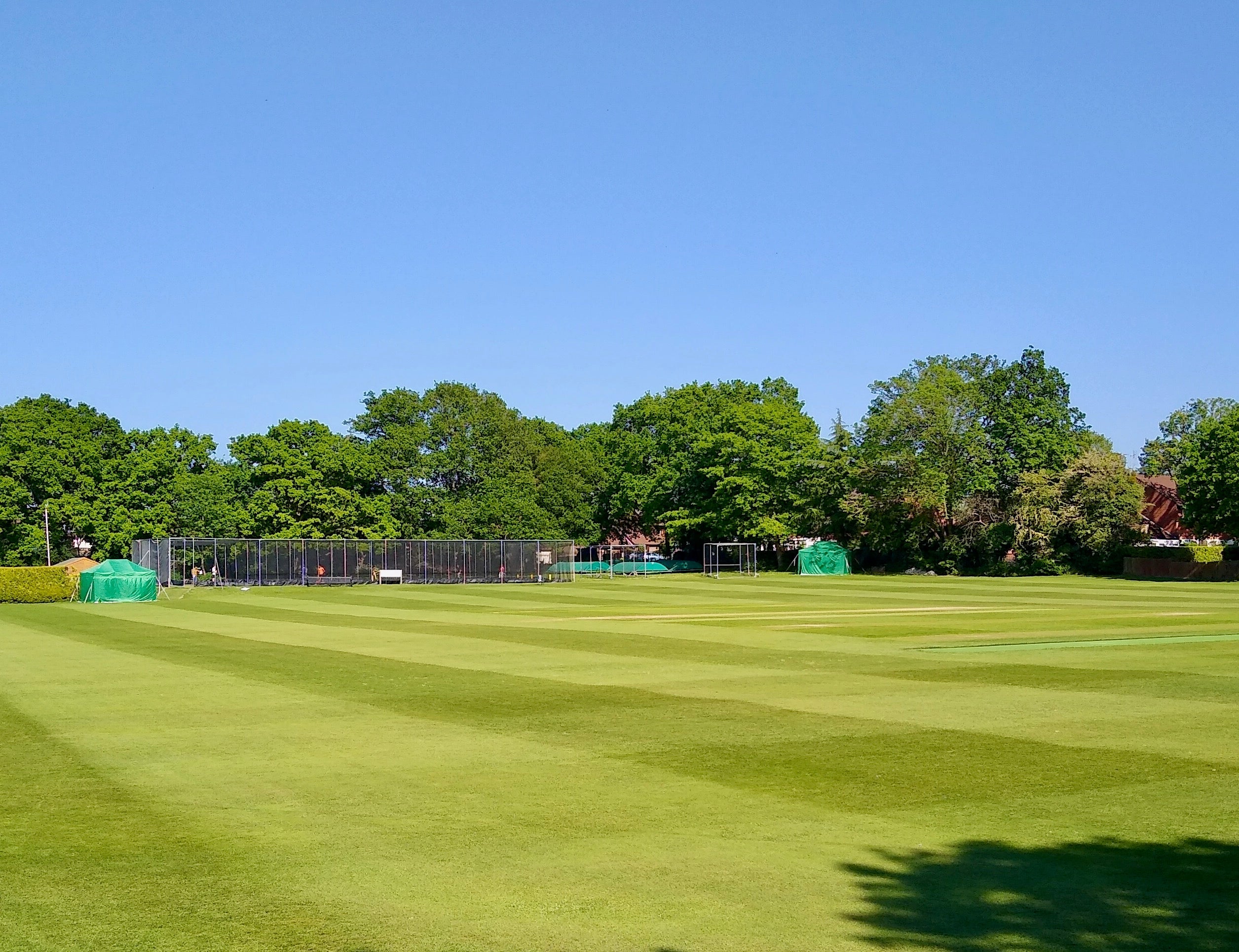 Cricket coaching and drills
