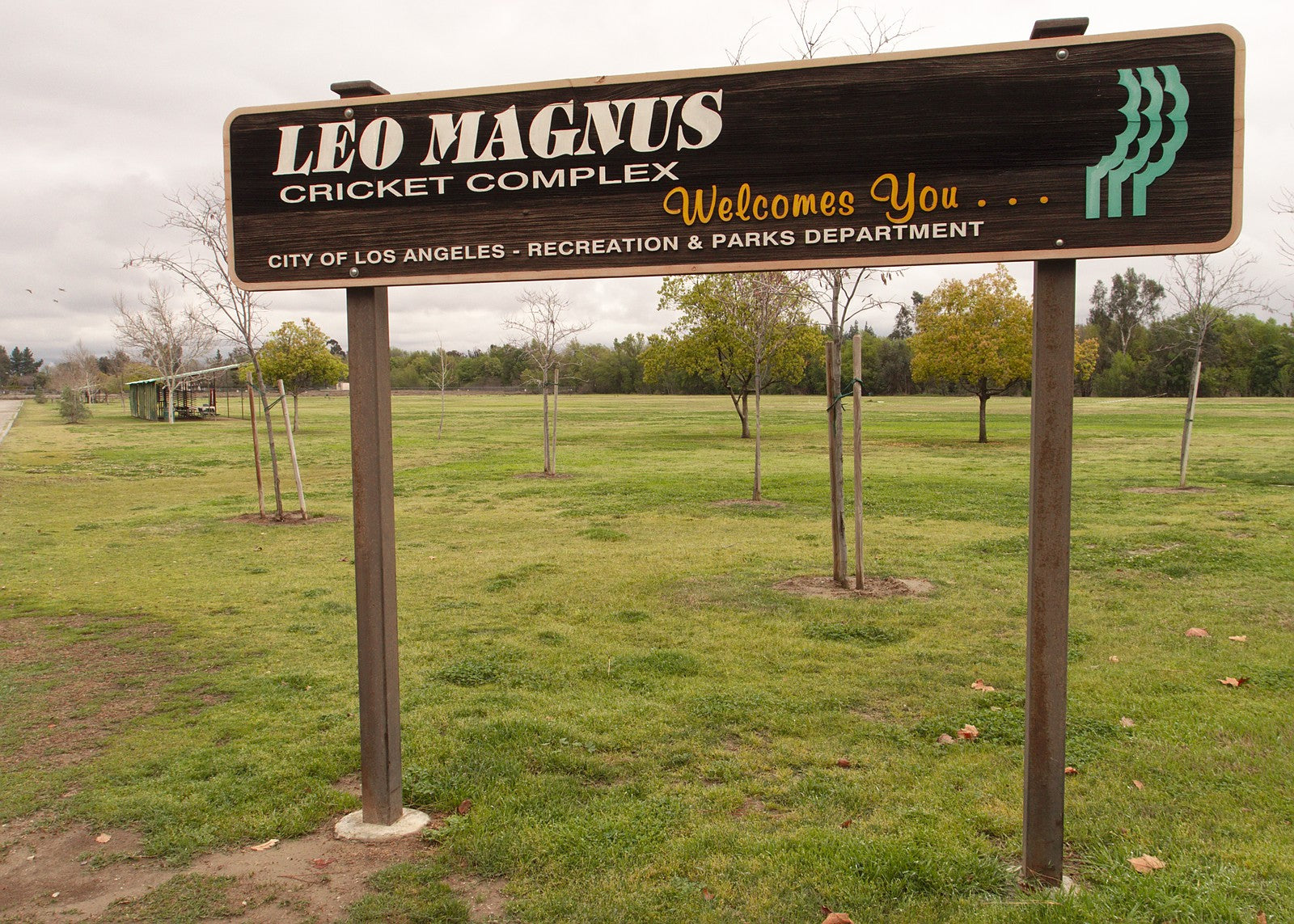 Cricket coaching and drills