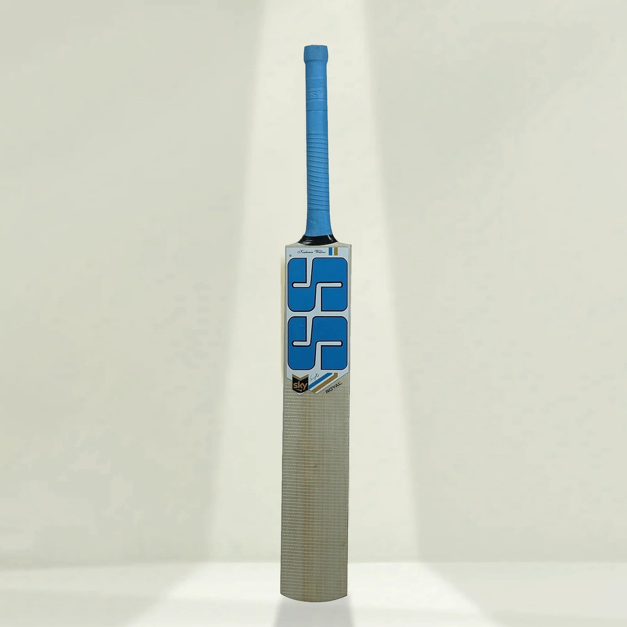 A vibrant scene of cricket players enjoying a match with Kashmir willow bats.