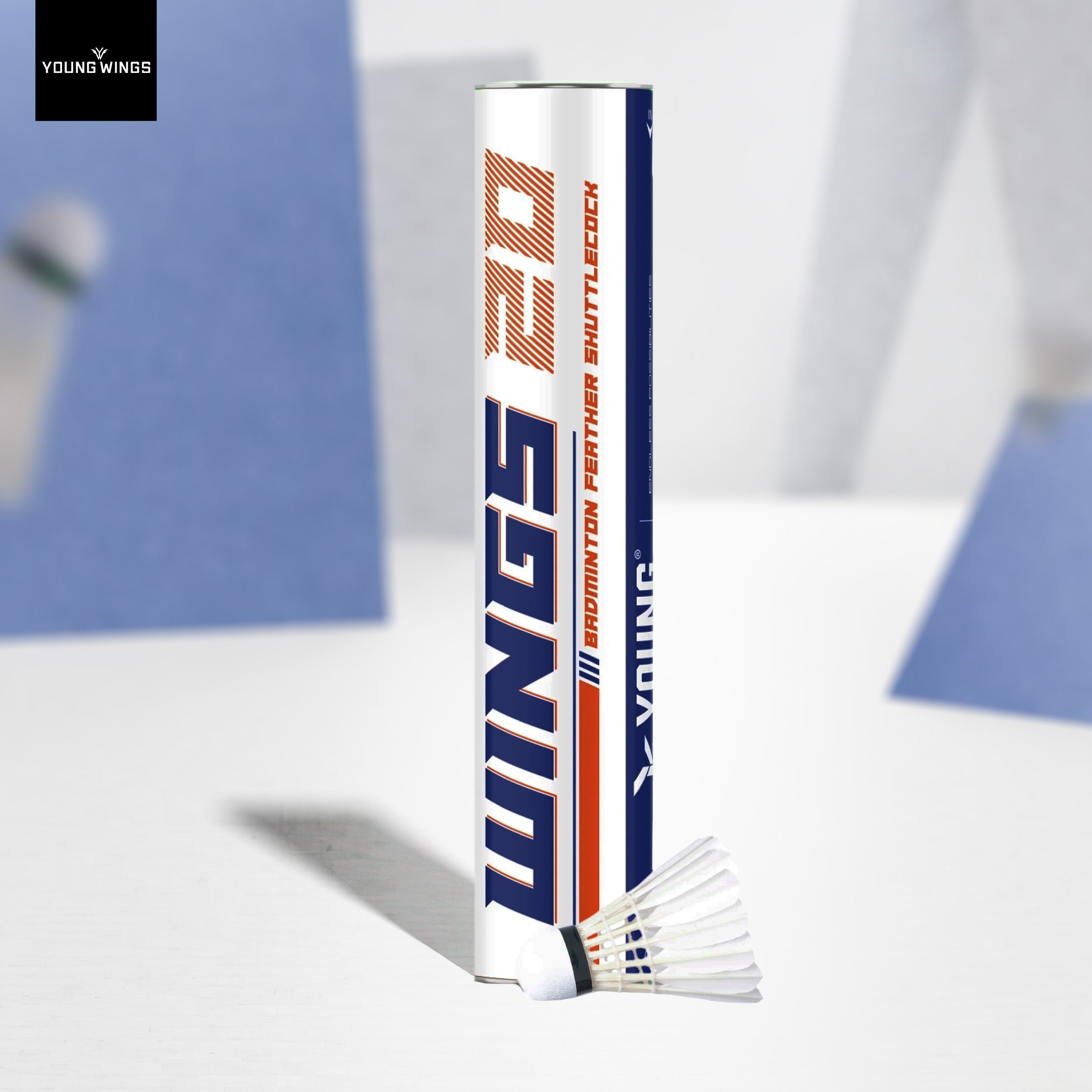 A guide on badminton young shuttlecocks gear for young players