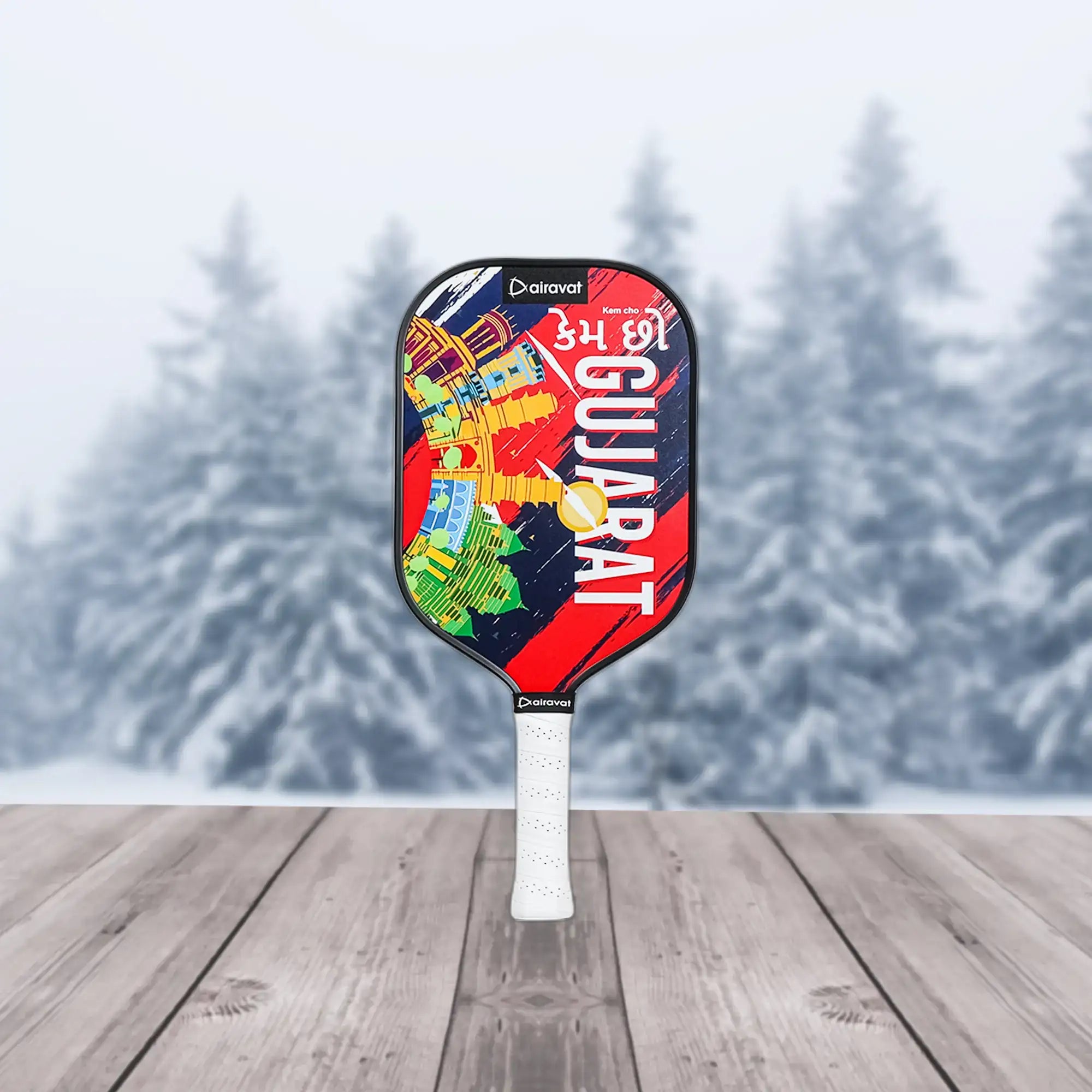 Airavat_City_Edition_Pickleball_Paddles_Gujarat_Main_InstaSport