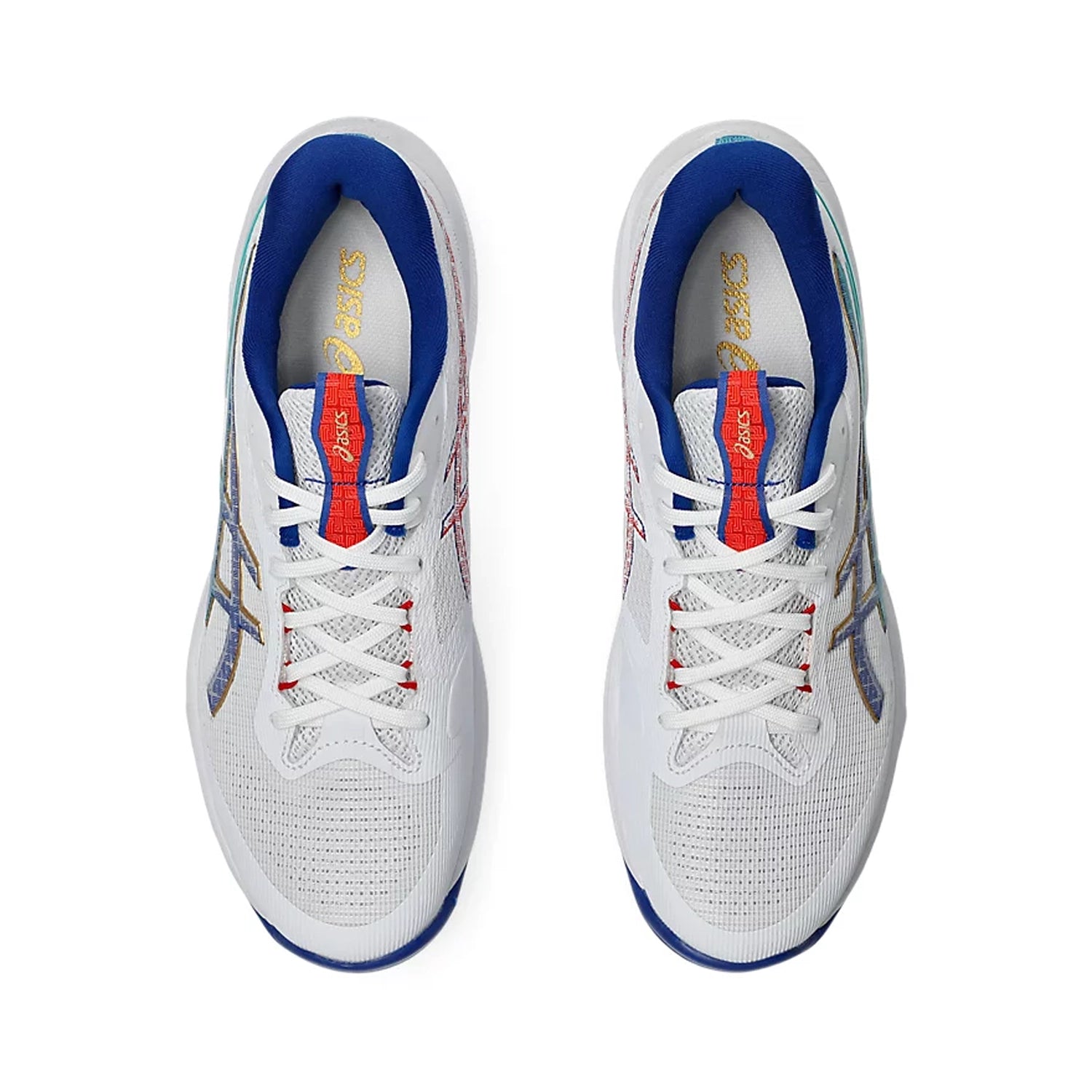 Asics_NETBURNER_BALLISTIC_FF4_TennisShoes_Topview_Instasport