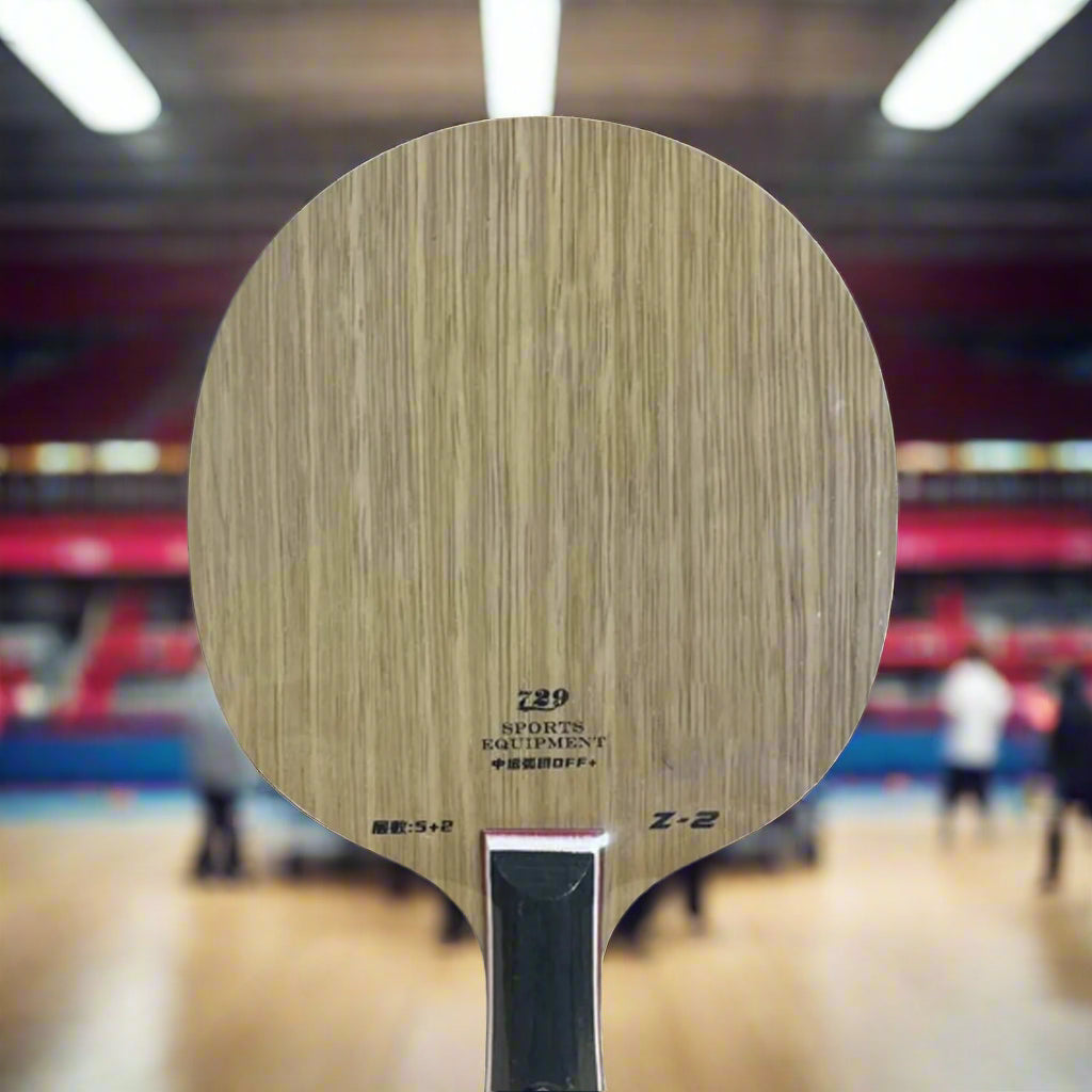 Friendship_729_Z-2_Table_Tennis_Ply_Head_Instasport