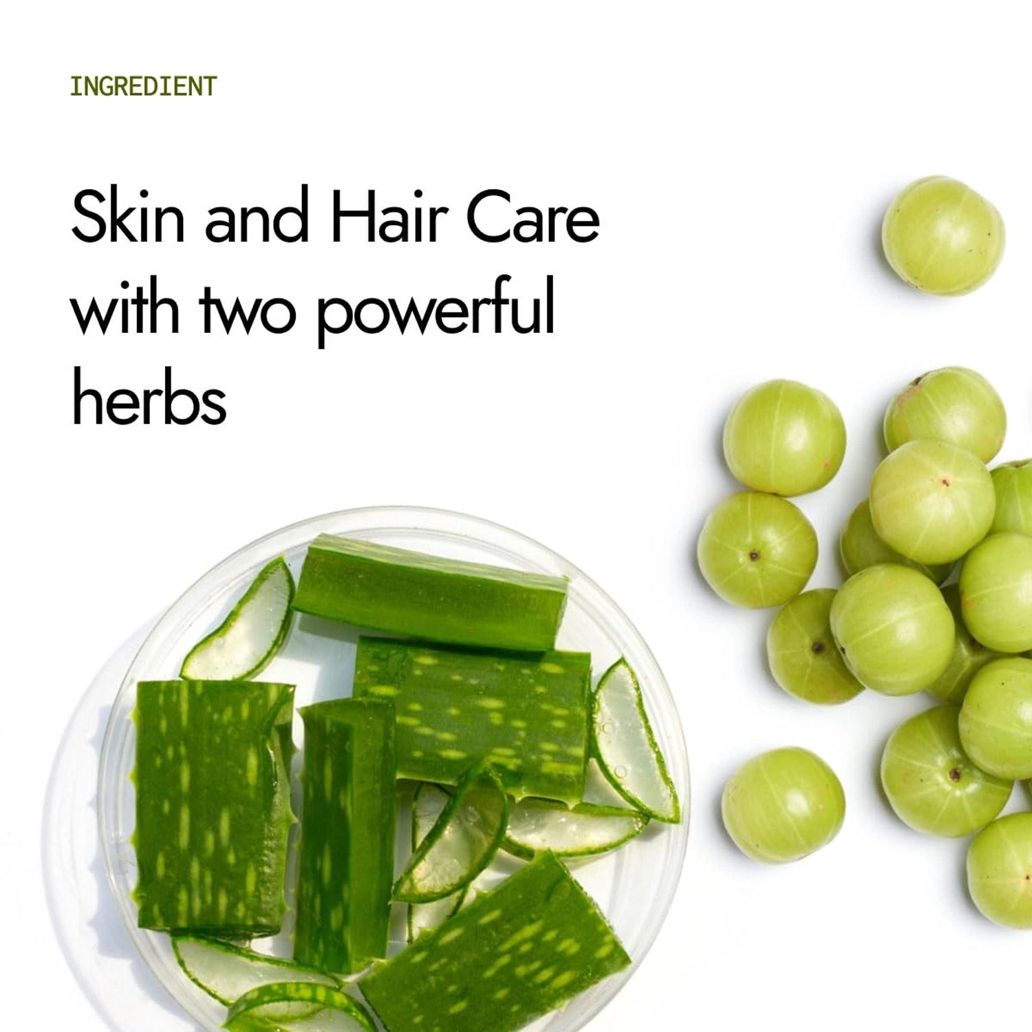 Kapiva_AloeVera_Amla_Juice_Ingredients_Instasport