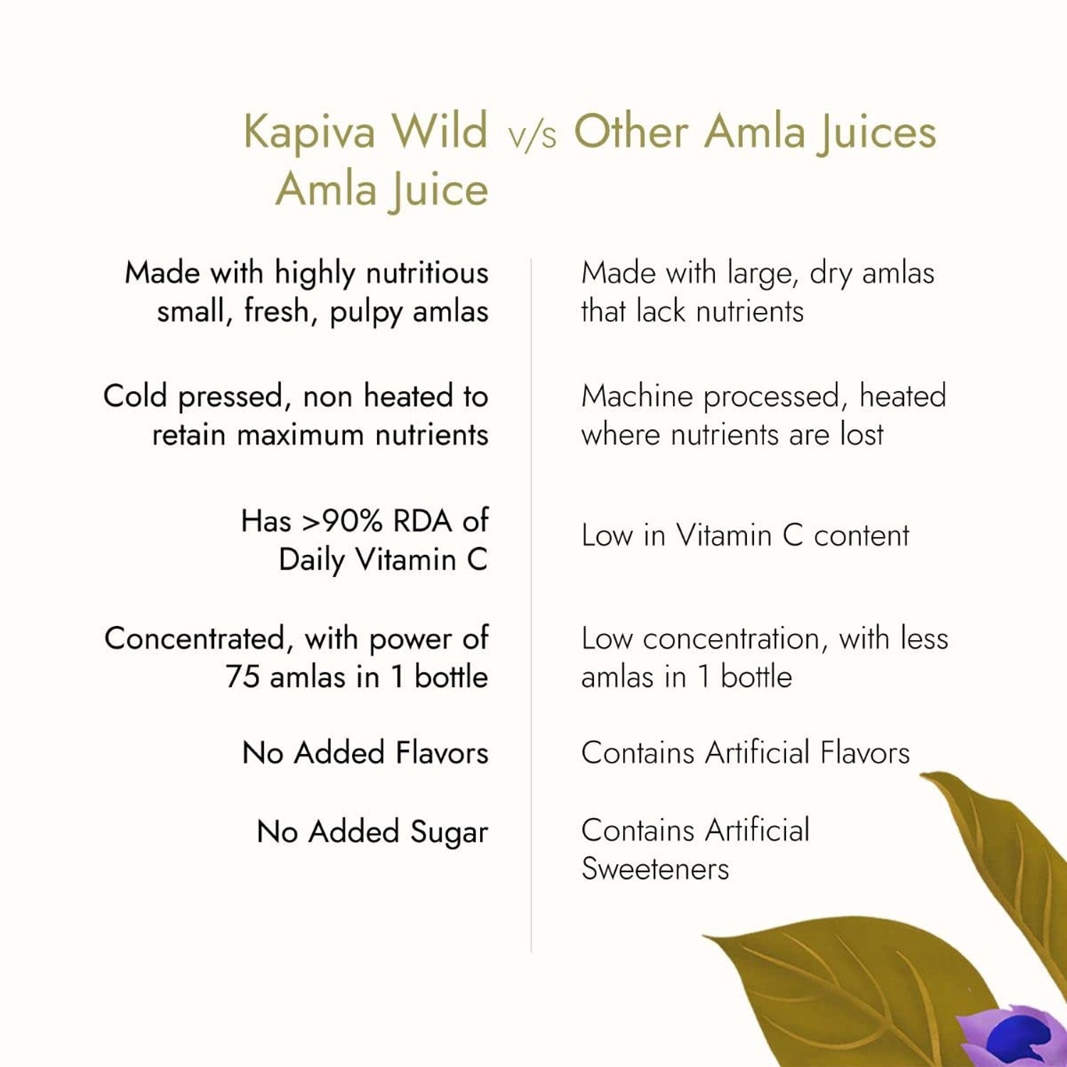 Kapiva_Wild_Amla_Juice_Specs_Instasport