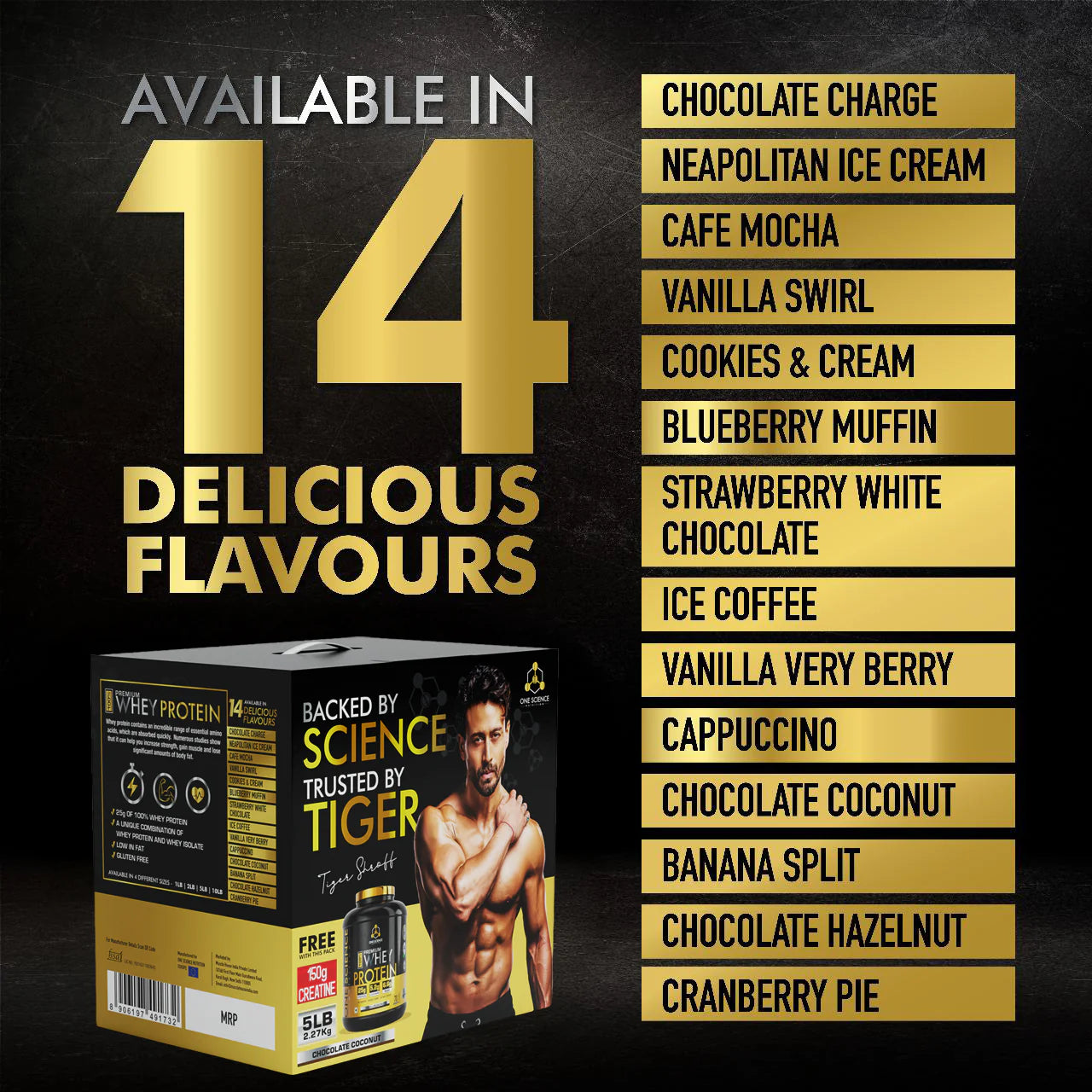 One_Science_Tiger_Combo_Blueberry_Muffin_Flavours_InstaSport