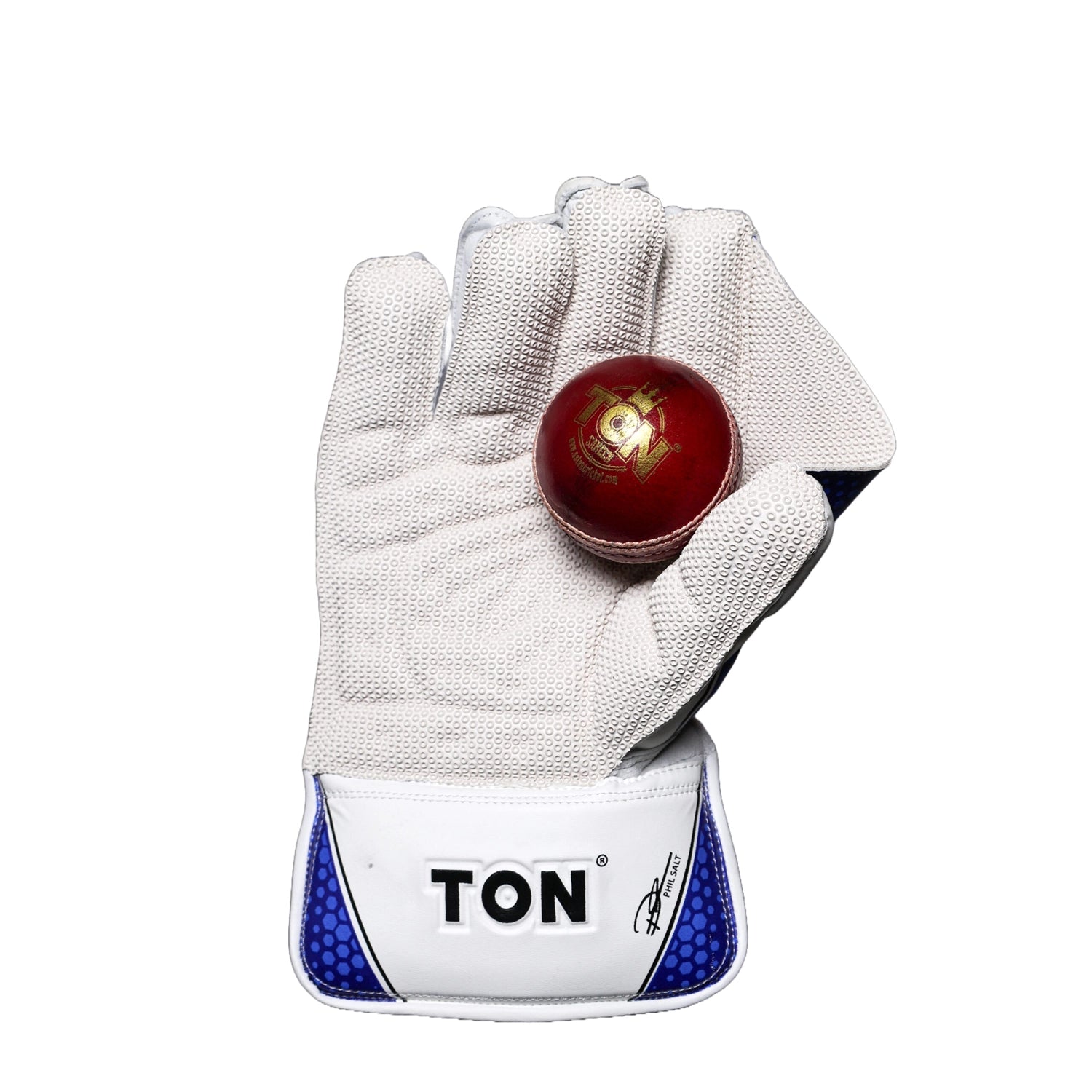SS_Ton_Glory_Cricket_Keeping_Gloves_Inside_Instasport