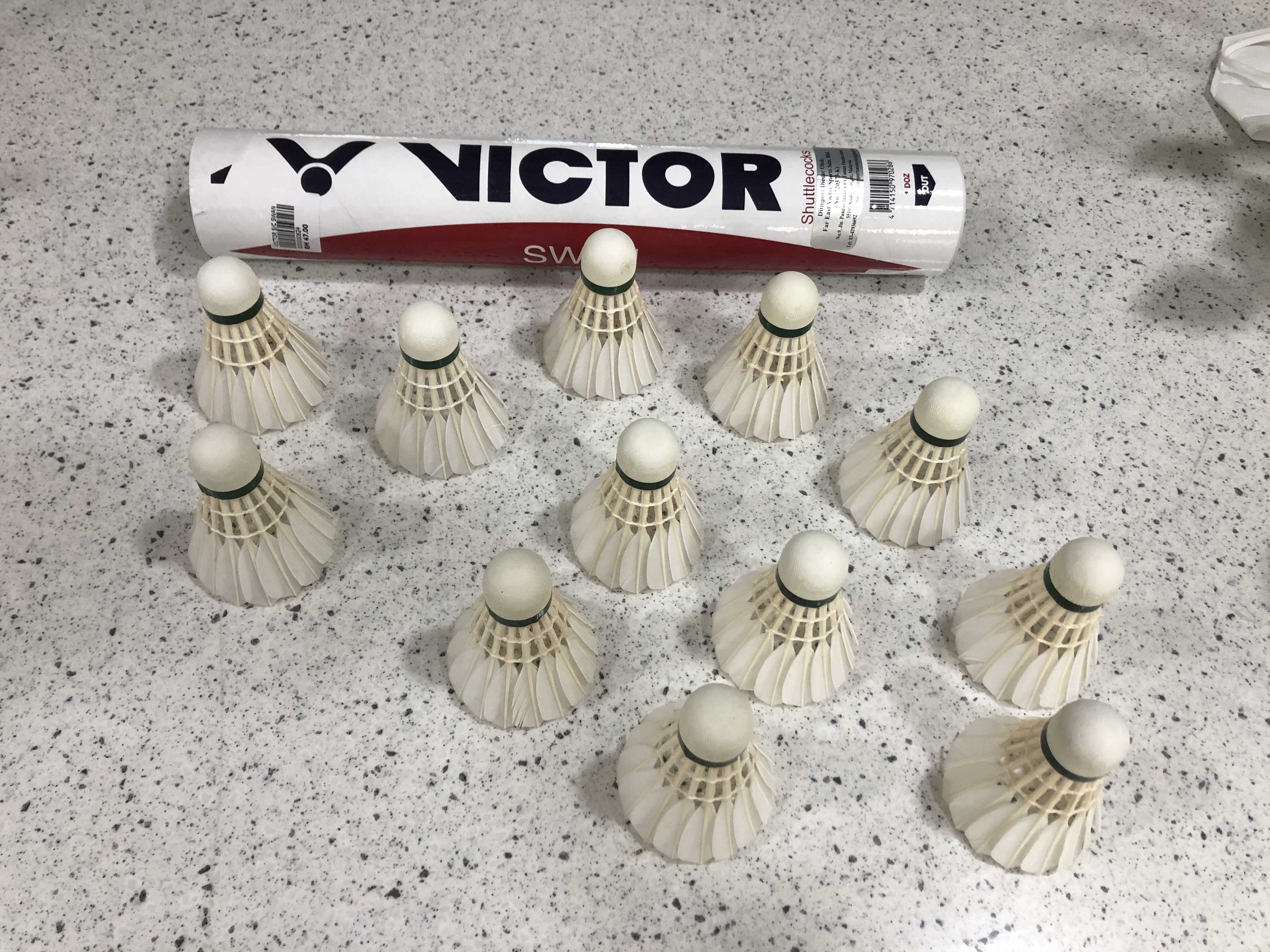 Victor_Swan_Feathershuttlecock_Image_InstaSport