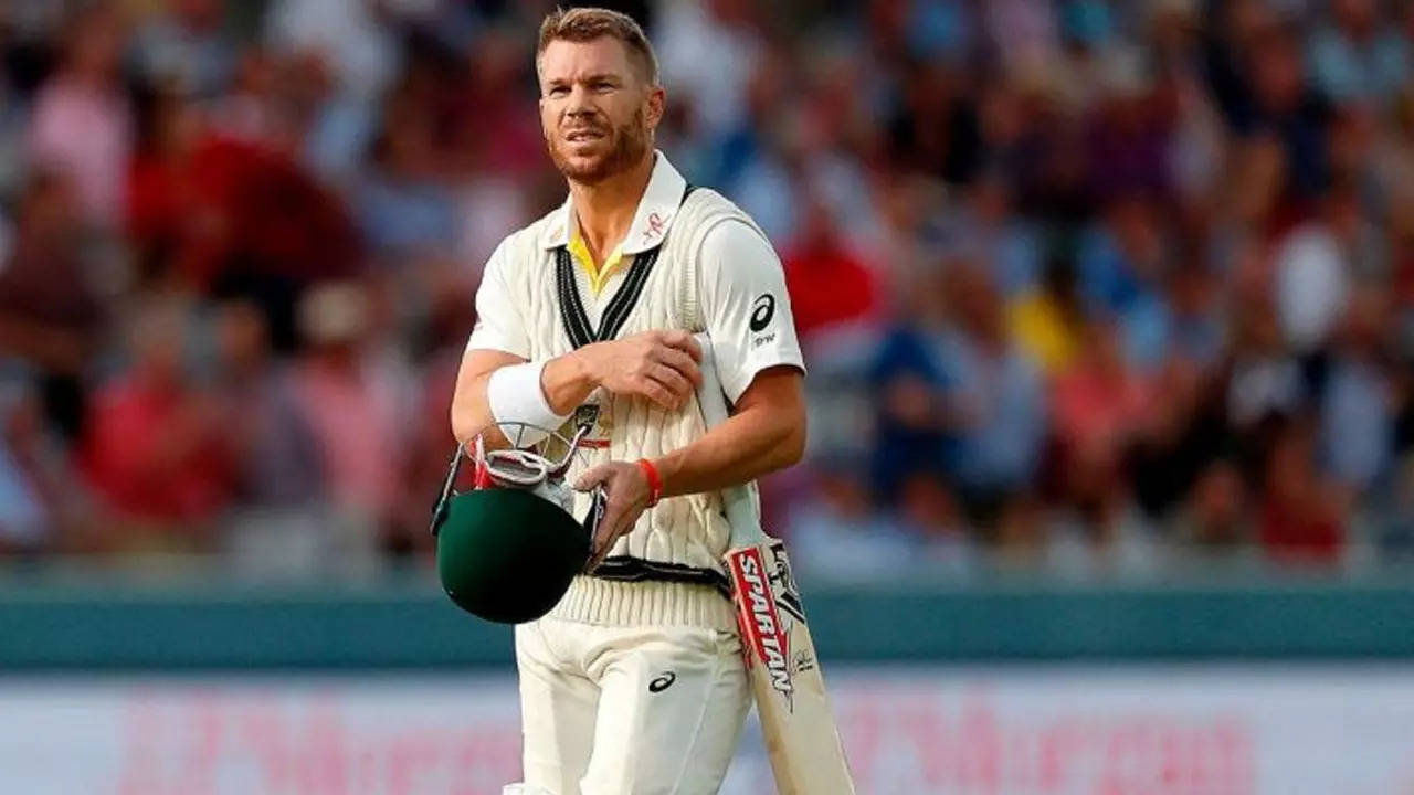 David Warner Offers to Return to Test Cricket for Border-Gavaskar Trophy