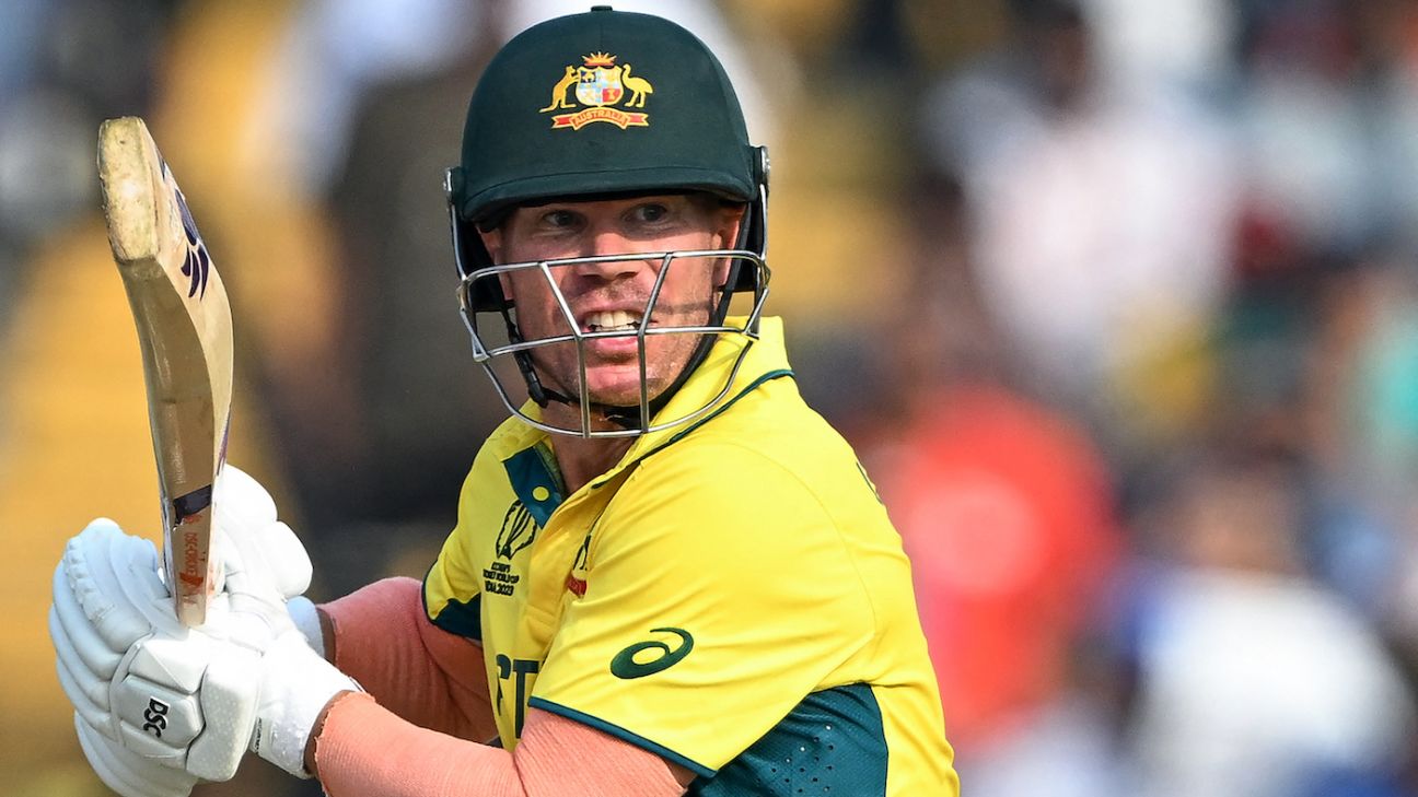 David Warner Hints at Champions Trophy Return Despite Retirement