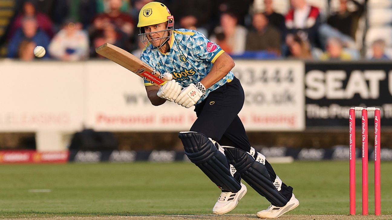 Birmingham Bears Spinners Dominate Yorkshire Vikings in Vitality Blast Triumph