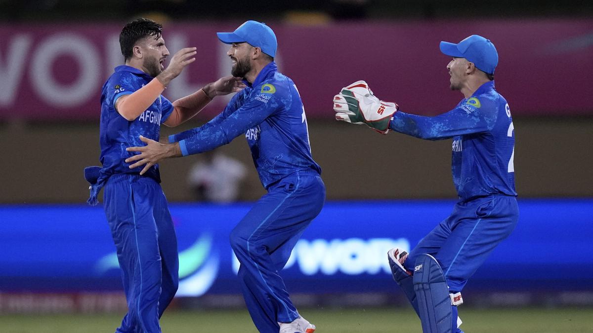 Afghanistan Eyes Super Eights Berth, New Zealand Faces Elimination