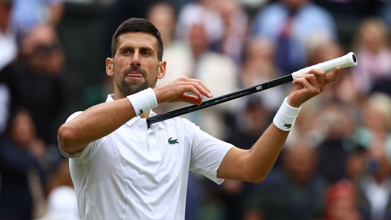 Djokovic and Alcaraz Eye History in Wimbledon 2024 Final