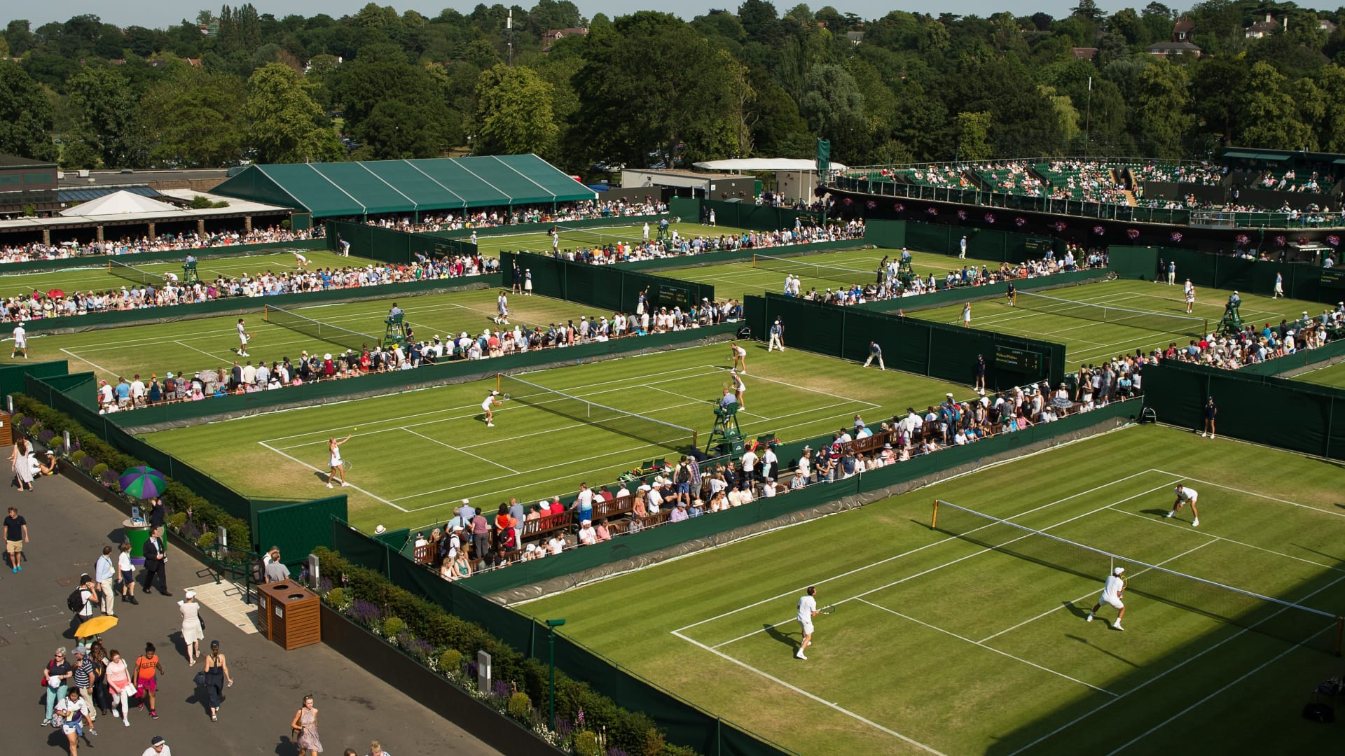 Tennis Channel to Provide Extensive Coverage of Wimbledon 2024