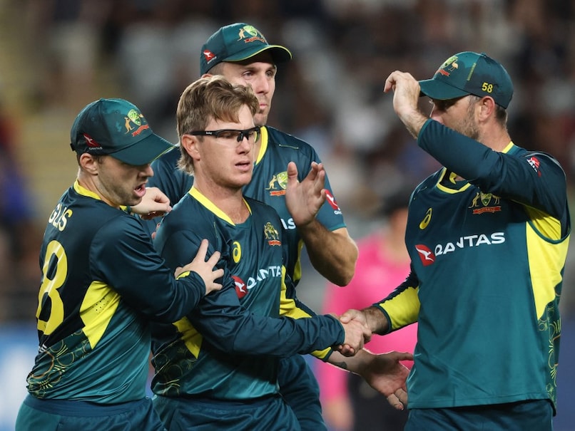 Australia Aim for T20 World Cup Glory, Pakistan Faces USA Test