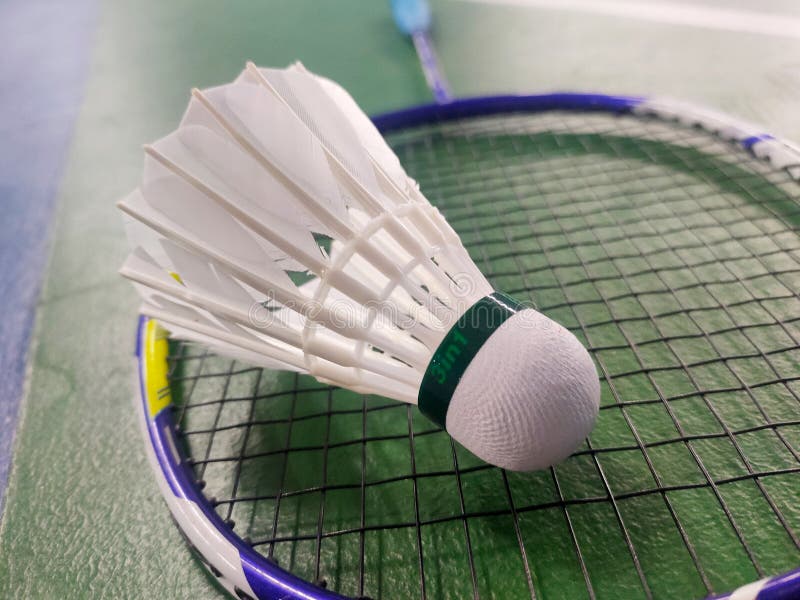 Top 10 Legendary Badminton Players Globally in 2025