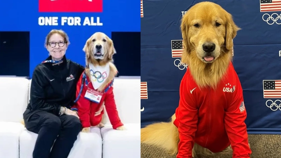 Beacon the Therapy Dog: Team USA Gymnastics' Unlikely MVP