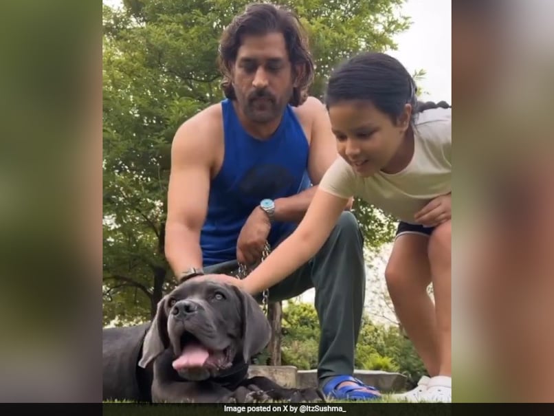 MS Dhoni Enjoys Family Time with Pet Dogs After IPL 2024