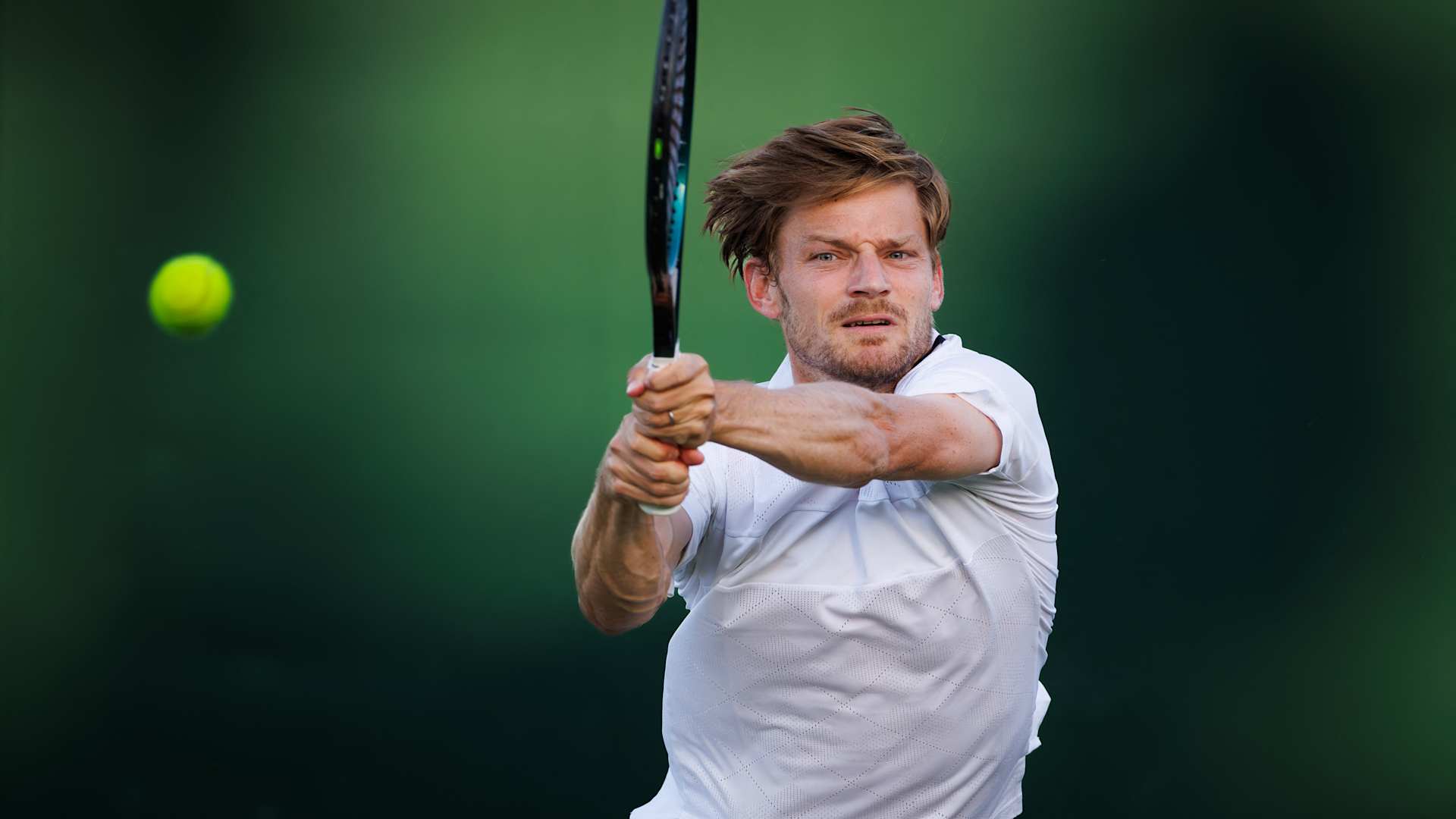 David Goffin's Wimbledon Collapse: A Tale of Choke and Redemption