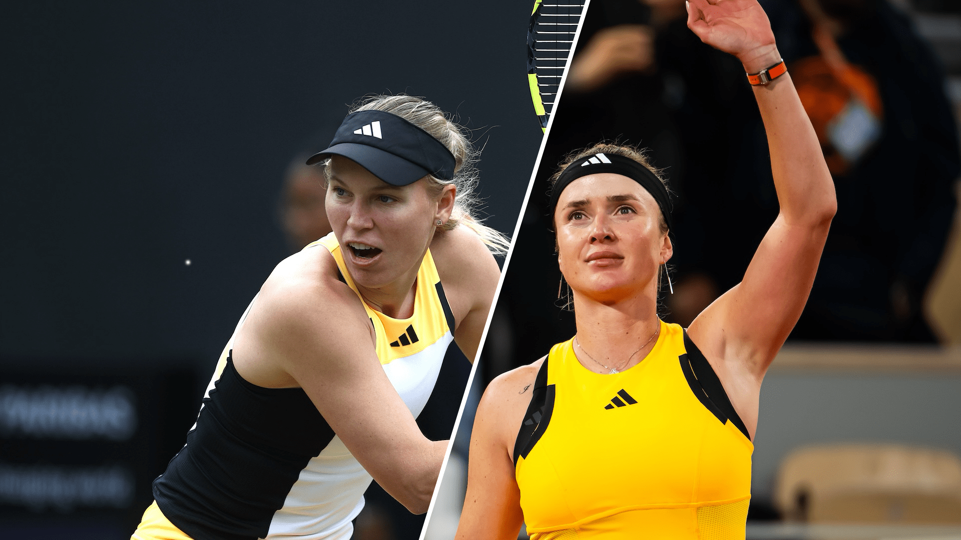 Svitolina and Wozniacki's Bad Homburg Clash Suspended Due to Darkness