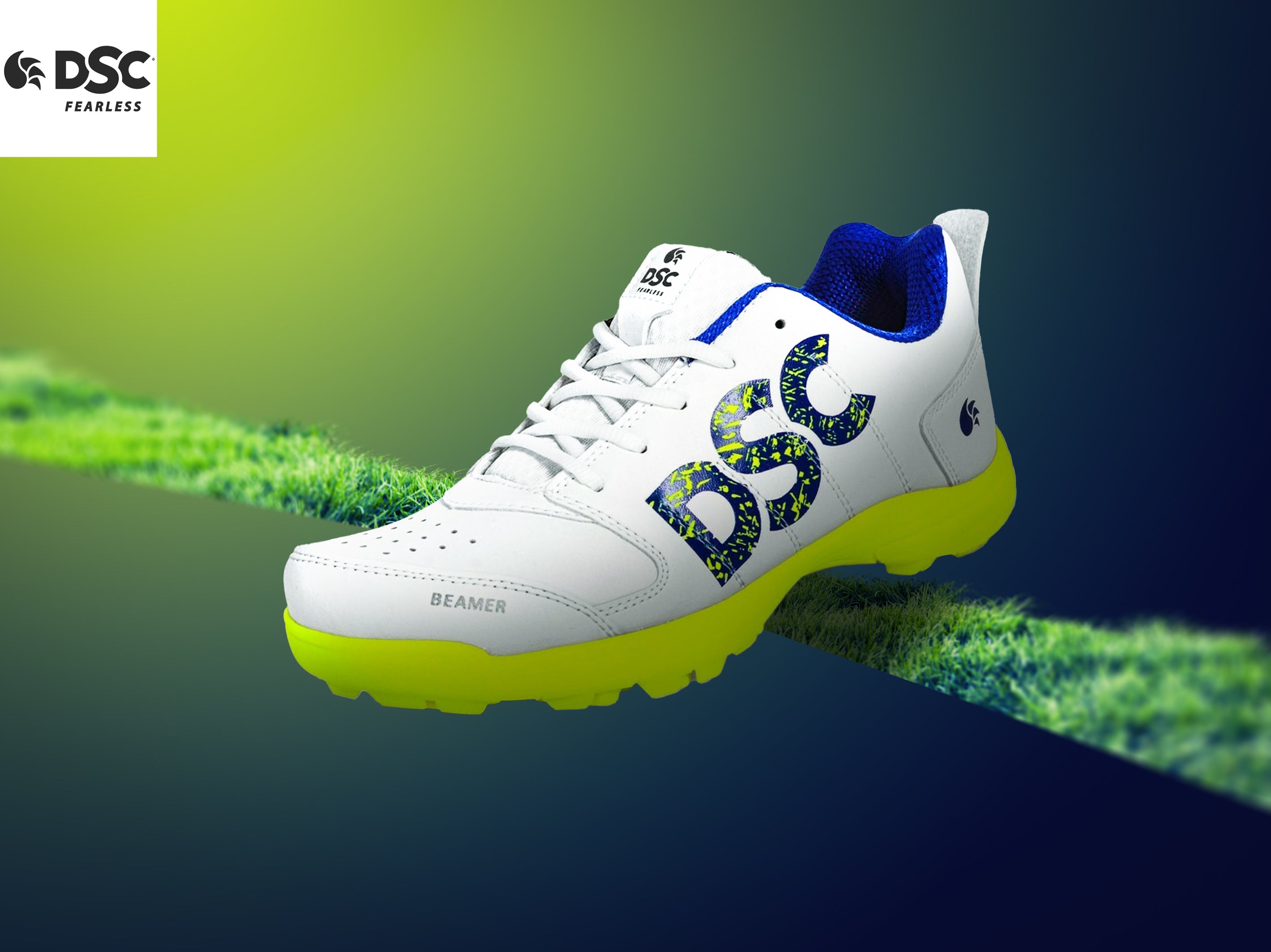 Cricket DSC Shoes