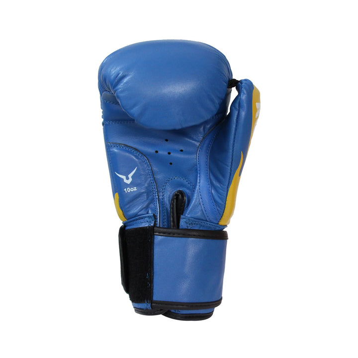 Invincible Agni Amateur Competition Boxing Gloves