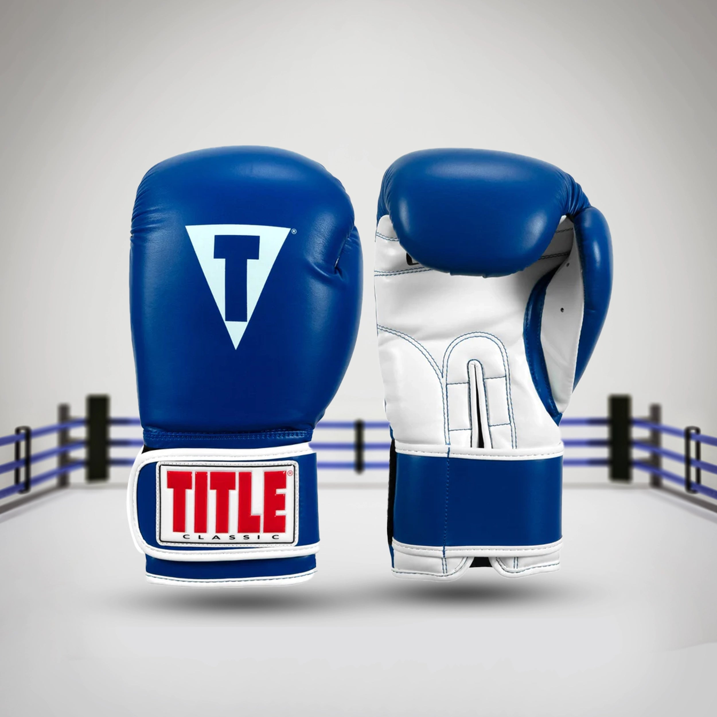 Title Boxing Classic Pro Style Training Boxing Gloves 3.0