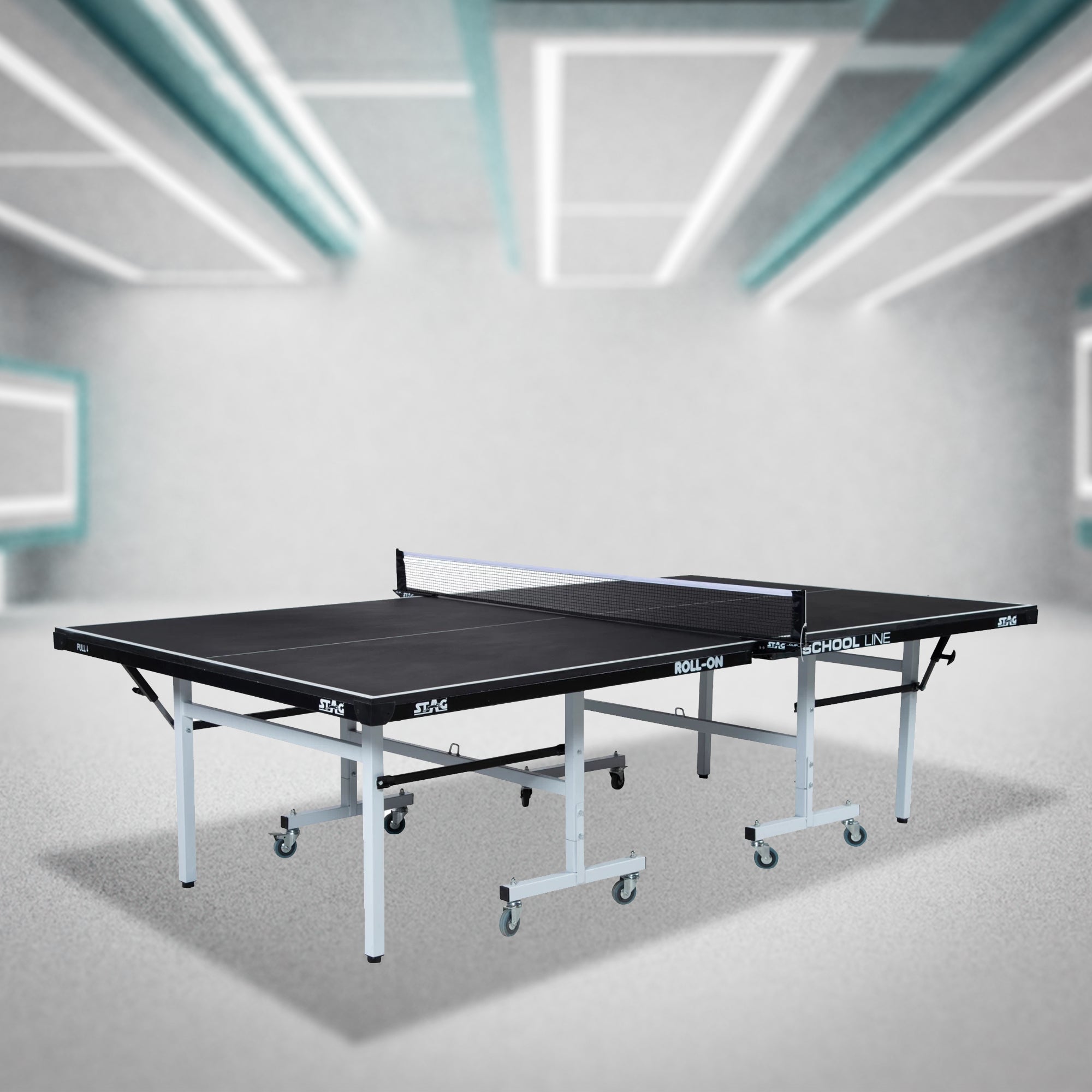 Stag School Line Table Tennis Table - InstaSport