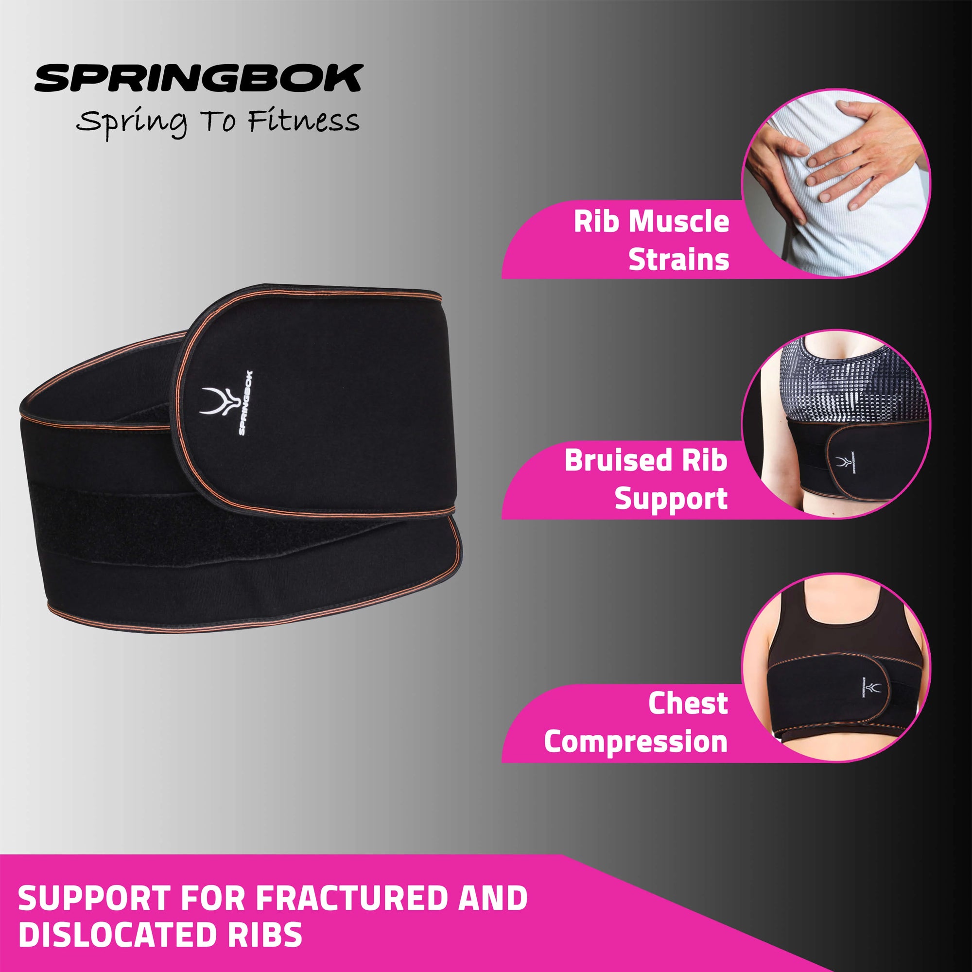 Springbok Rib Belt Support - InstaSport