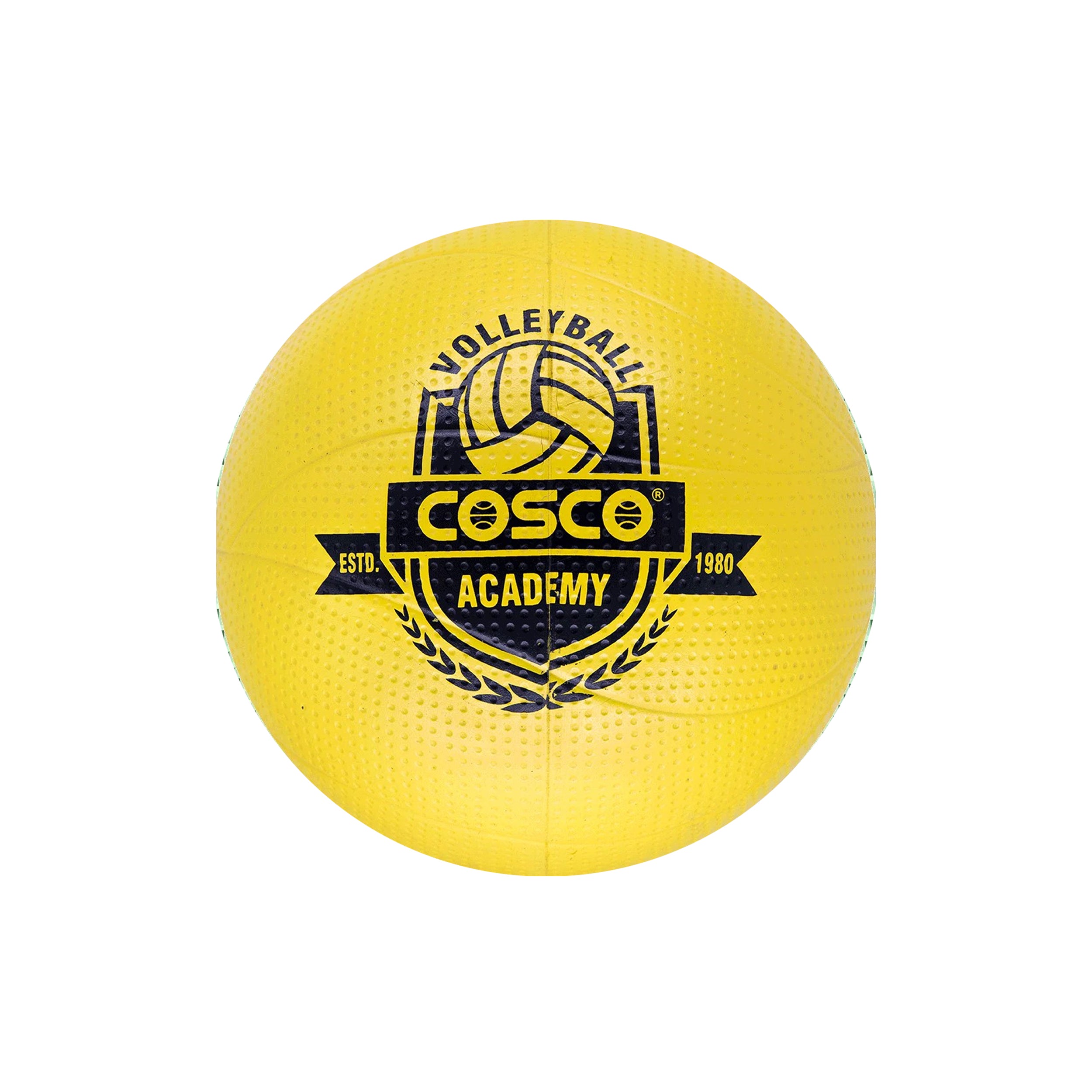 Cosco Academy Volleyball - InstaSport