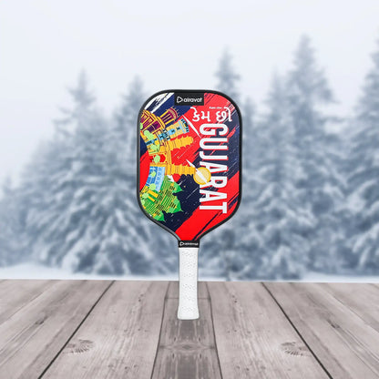 Airavat_City_Edition_Pickleball_Paddles_Gujarat_Main_InstaSport