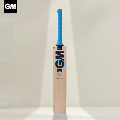 GM Diamond Select Kashmir Willow Cricket Bat -SH - InstaSport