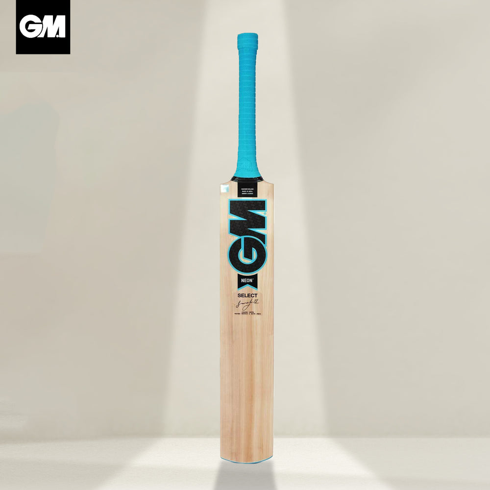 GM Neon Select Kashmir Willow Cricket Bat -SH - InstaSport