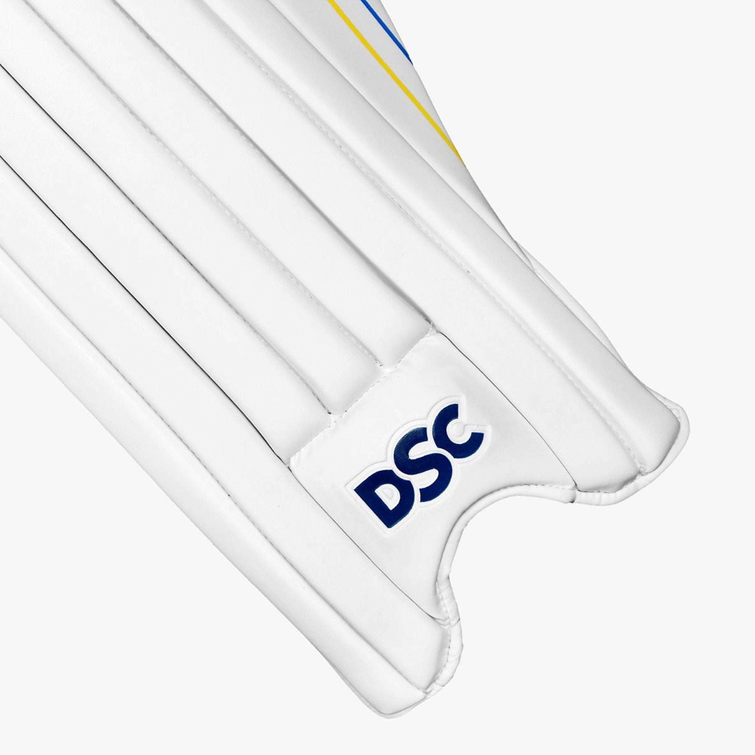 DSC Intense Rage Batting Leg Guard - InstaSport