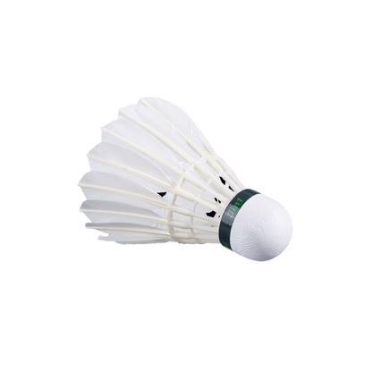 Babolat Hybrid Challenge (3-in-1) Badminton Shuttlecock (Pack of 5) - InstaSport