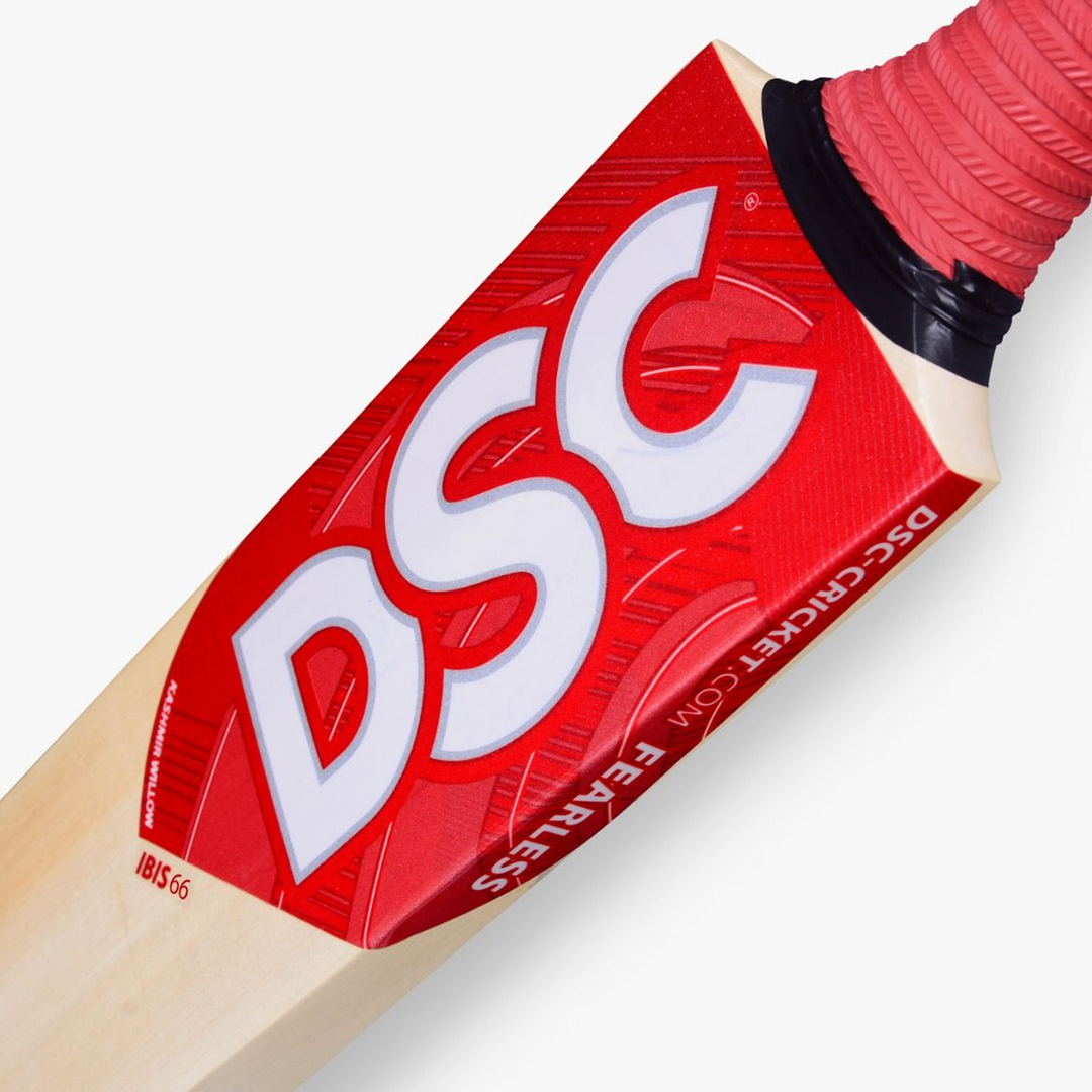 DSC IBIS 66 Kashmir Willow Cricket Bat -SH - InstaSport