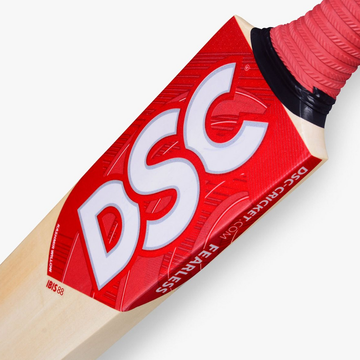 DSC IBIS 88 Kashmir Willow Cricket Bat