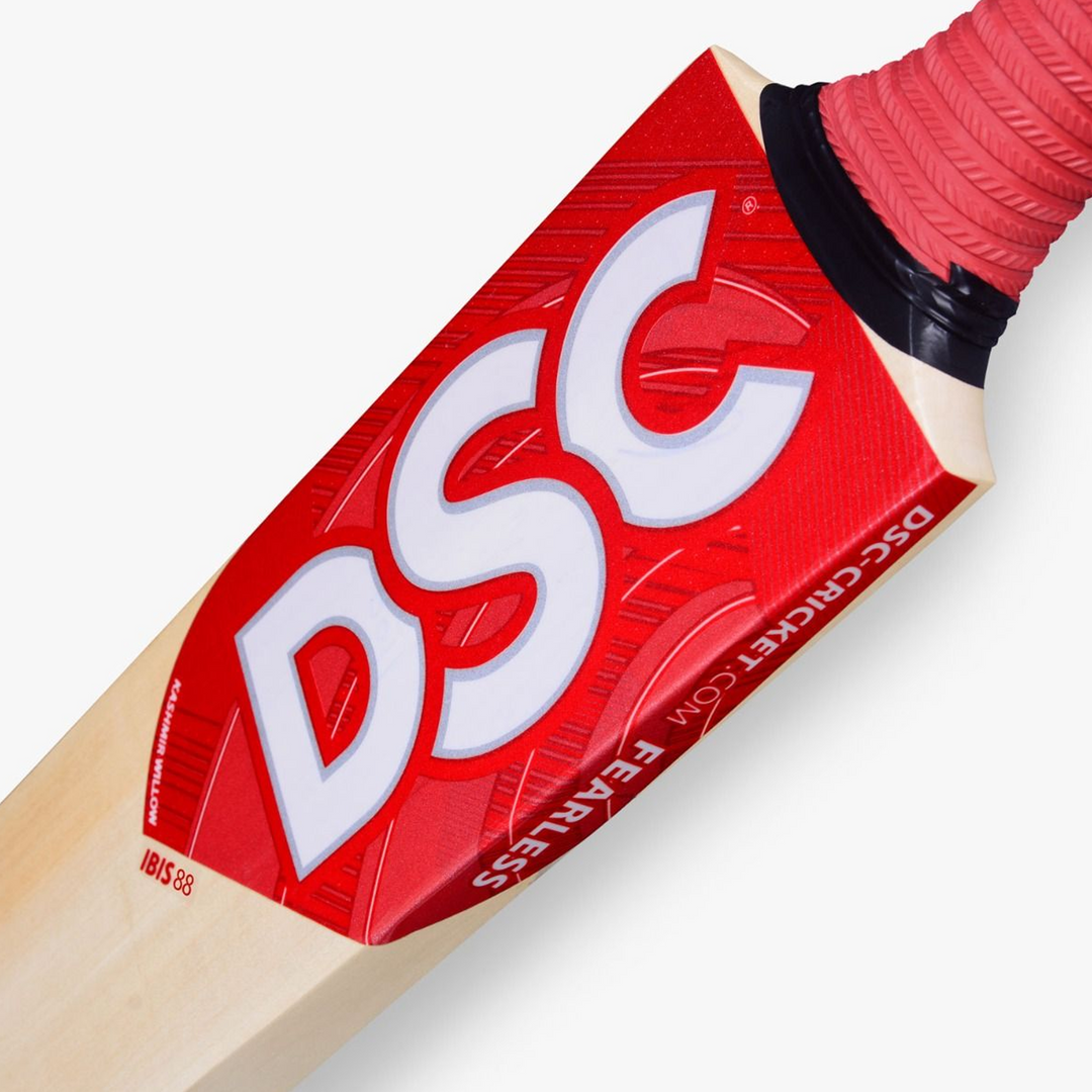 DSC IBIS 88 Kashmir Willow Cricket Bat -SH - InstaSport