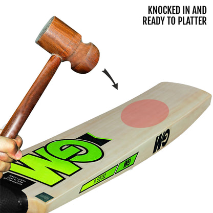 GM Zelos II Contender Kashmir Willow Cricket Bat -SH - InstaSport