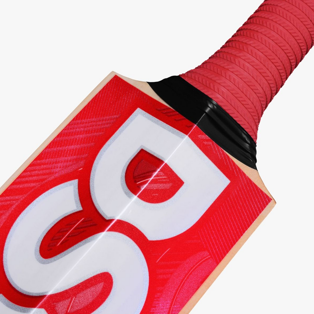 DSC IBIS 22 Kashmir Willow Cricket Bat -SH - InstaSport