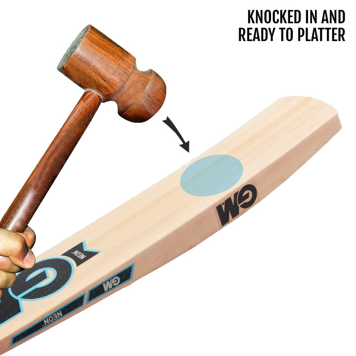 GM Neon Premier Kashmir Willow Cricket Bat -SH - InstaSport