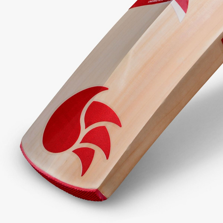 DSC IBIS 22 Kashmir Willow Cricket Bat -SH - InstaSport