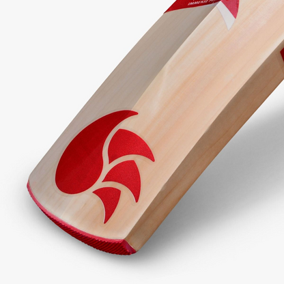 DSC IBIS 44 Kashmir Willow Cricket Bat -SH - InstaSport