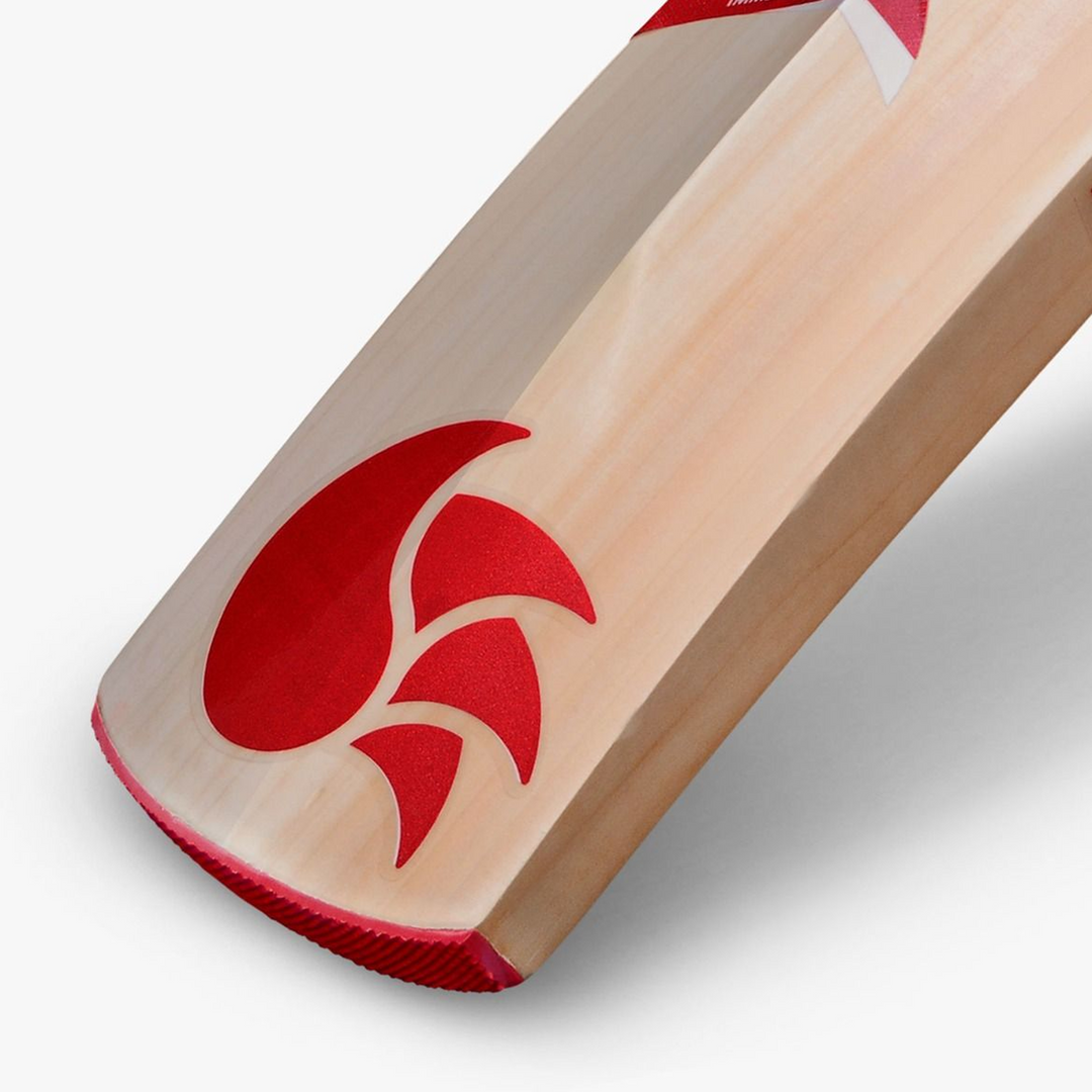 DSC IBIS 66 Kashmir Willow Cricket Bat -SH - InstaSport