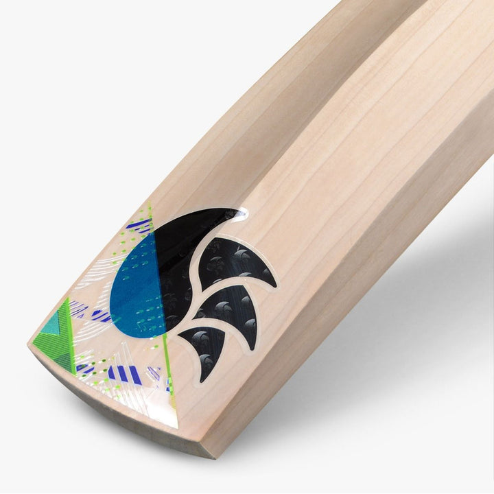 DSC BLU 450 English Willow Cricket Bat -SH - InstaSport