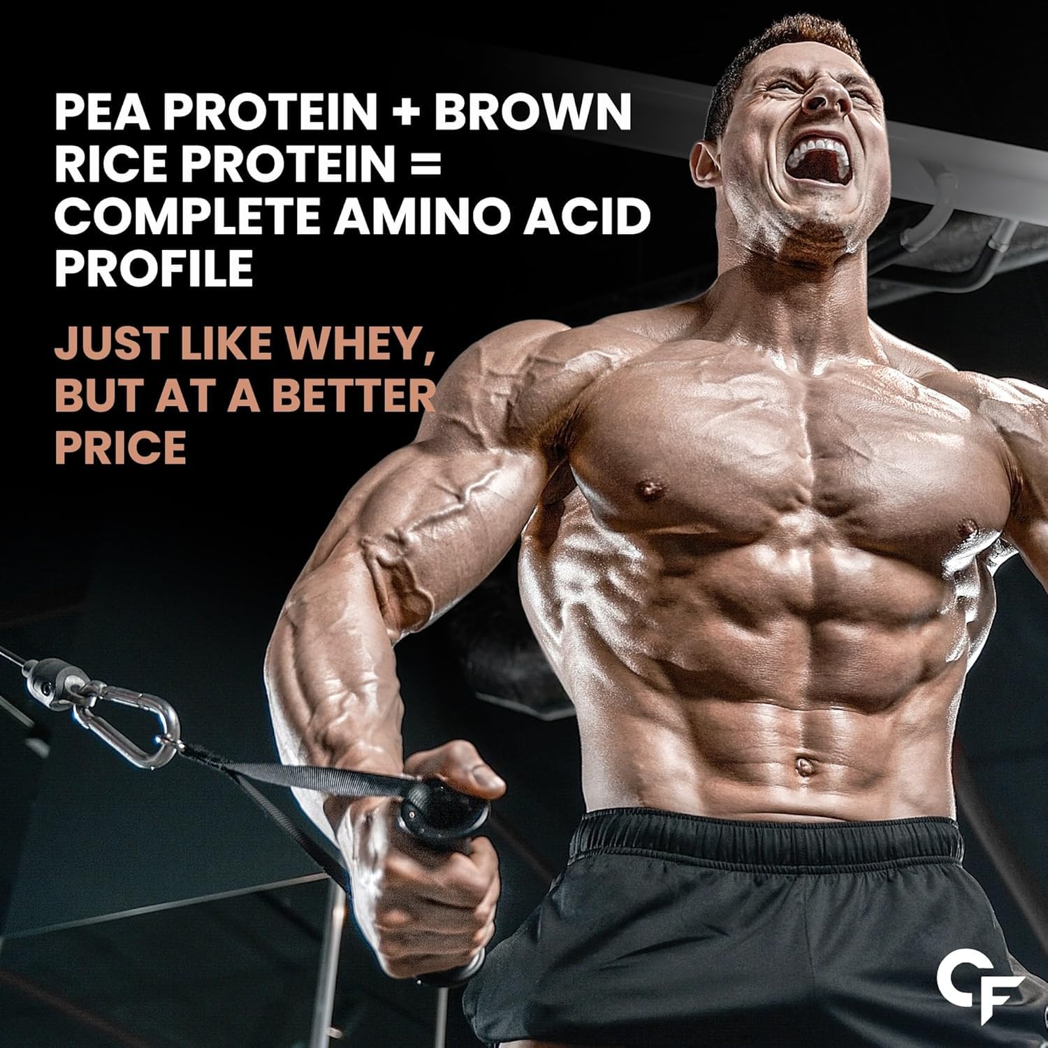 Carbamide_Forte_Plant_Protein_Chocolate_Protein_InstaSport