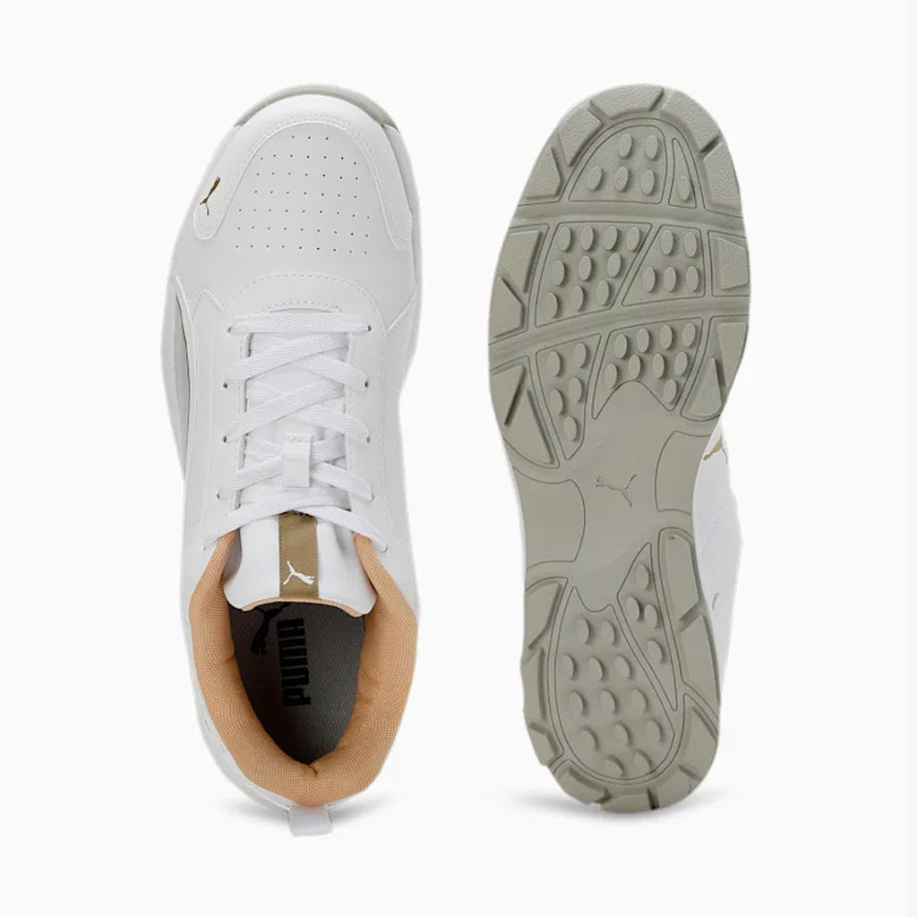 Puma Classicat Cricket Shoes for Men (Metallic Gold/Silver/White/Team Gold) - InstaSport