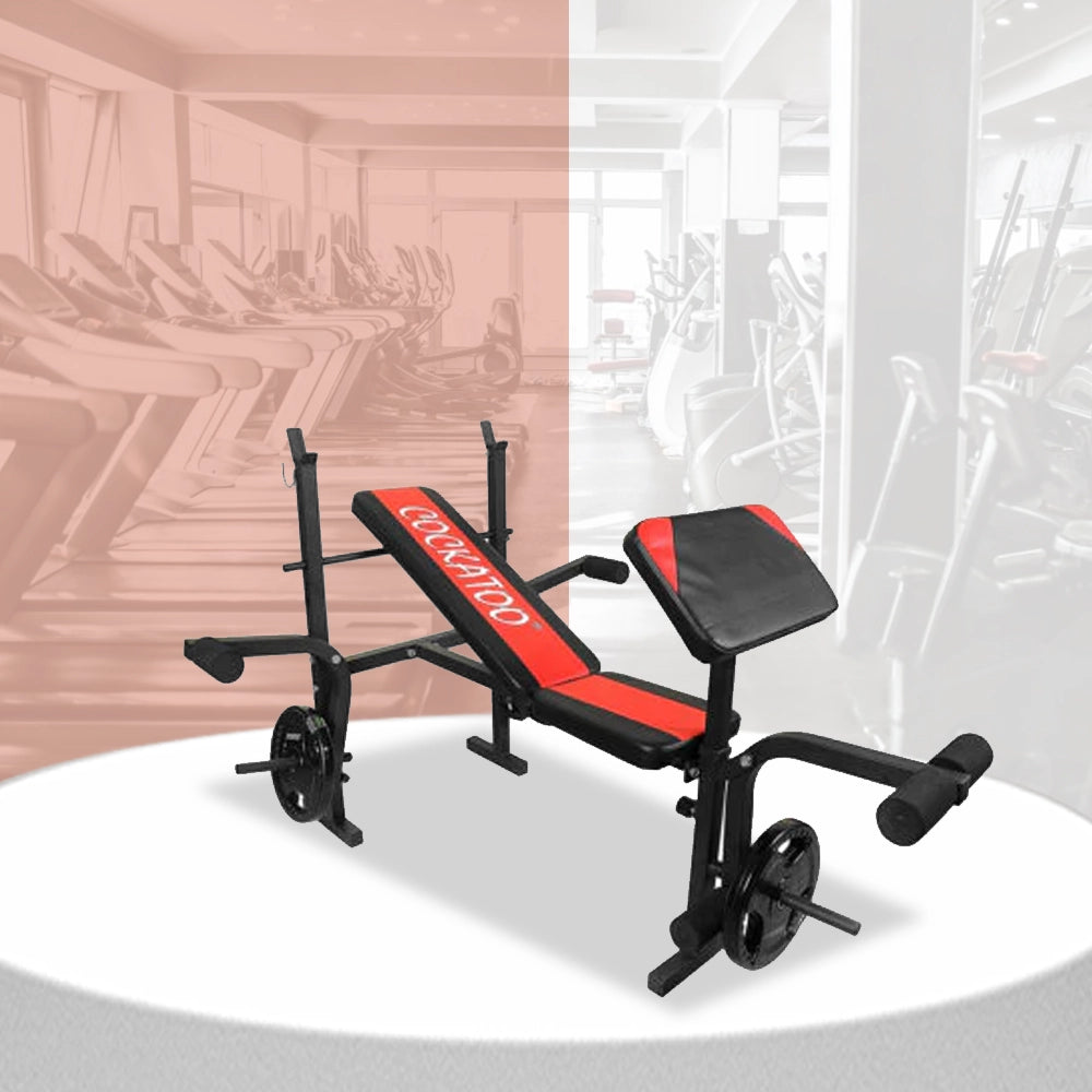 Cockatoo_Multipurpose_Domestic_Bench_InstaSport